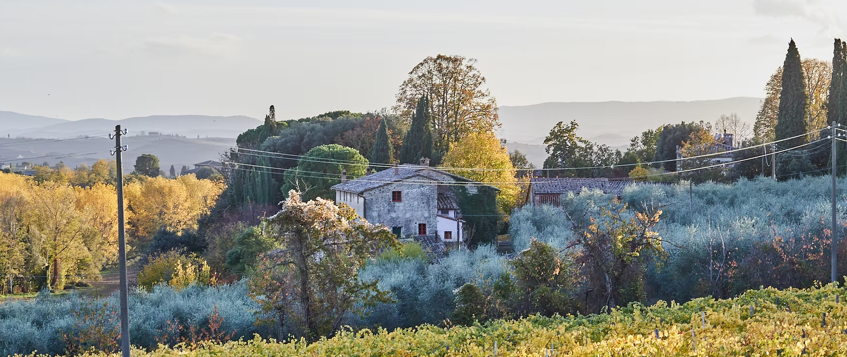 Snímek obrazovky 2026-03-06 153821.png