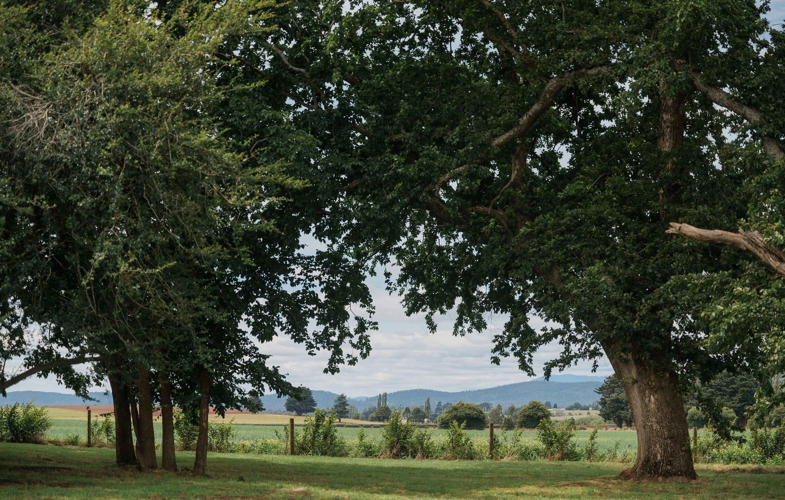 quamby-home-Freyr-Studio-Gardens.jpg