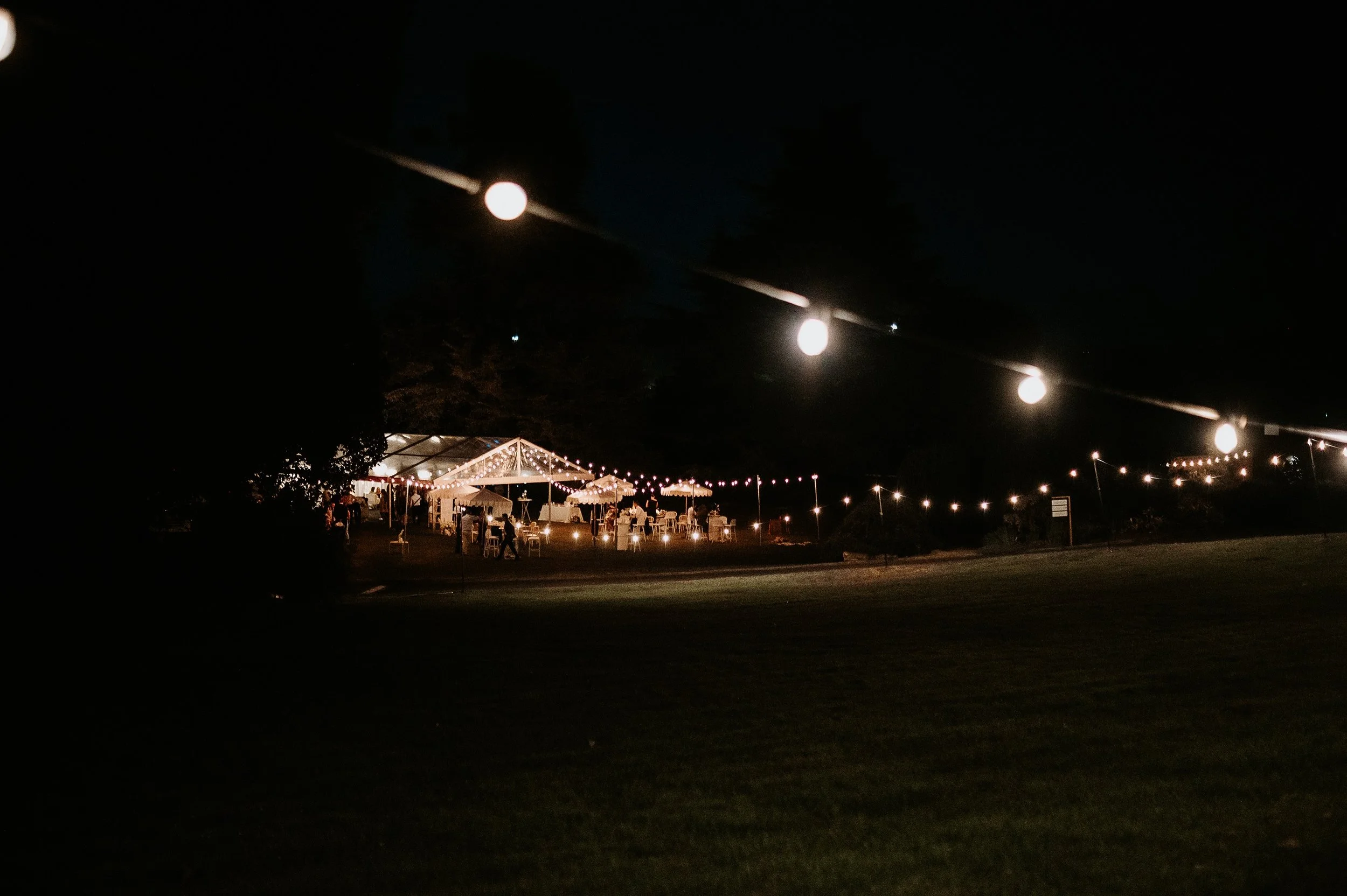 Freyr-Studio-Royal-Hobart-Botanical-Gardens-sophiesullivanphotos-Festoon-Lighting.jpg