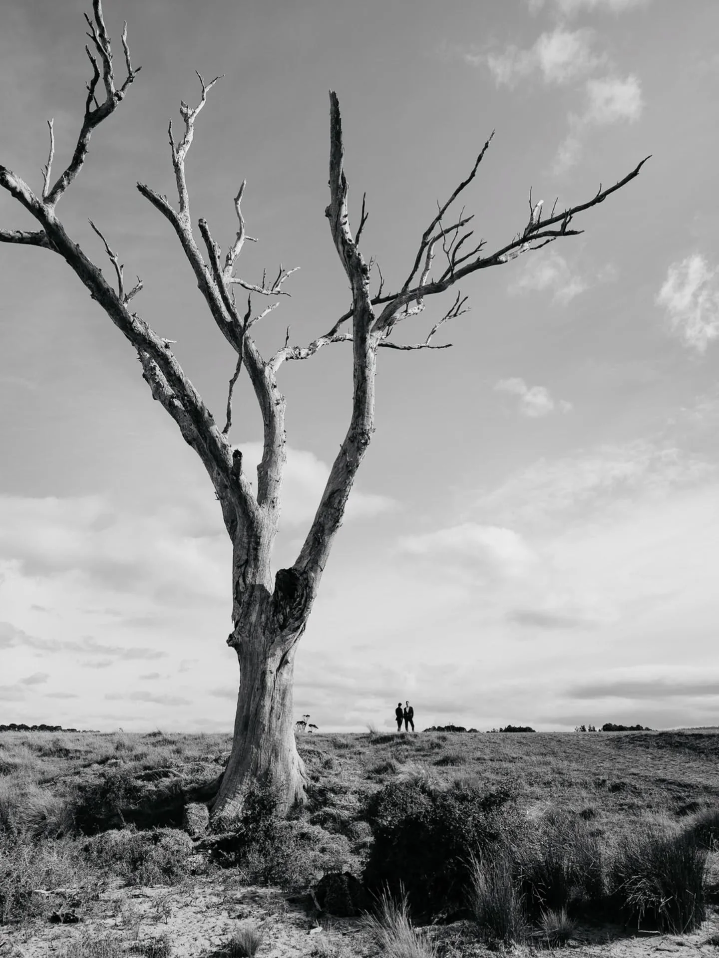 Geza and Tom!

What a pair, what a vibe, what awesome freaking suits.  An exceptional day for an exceptional couple, an honour to be involved.

Couple @gbarkoczy and Tom
Photography @ninahamiltonphotography
Venue @mayfieldestatetas
Catering @seasonan