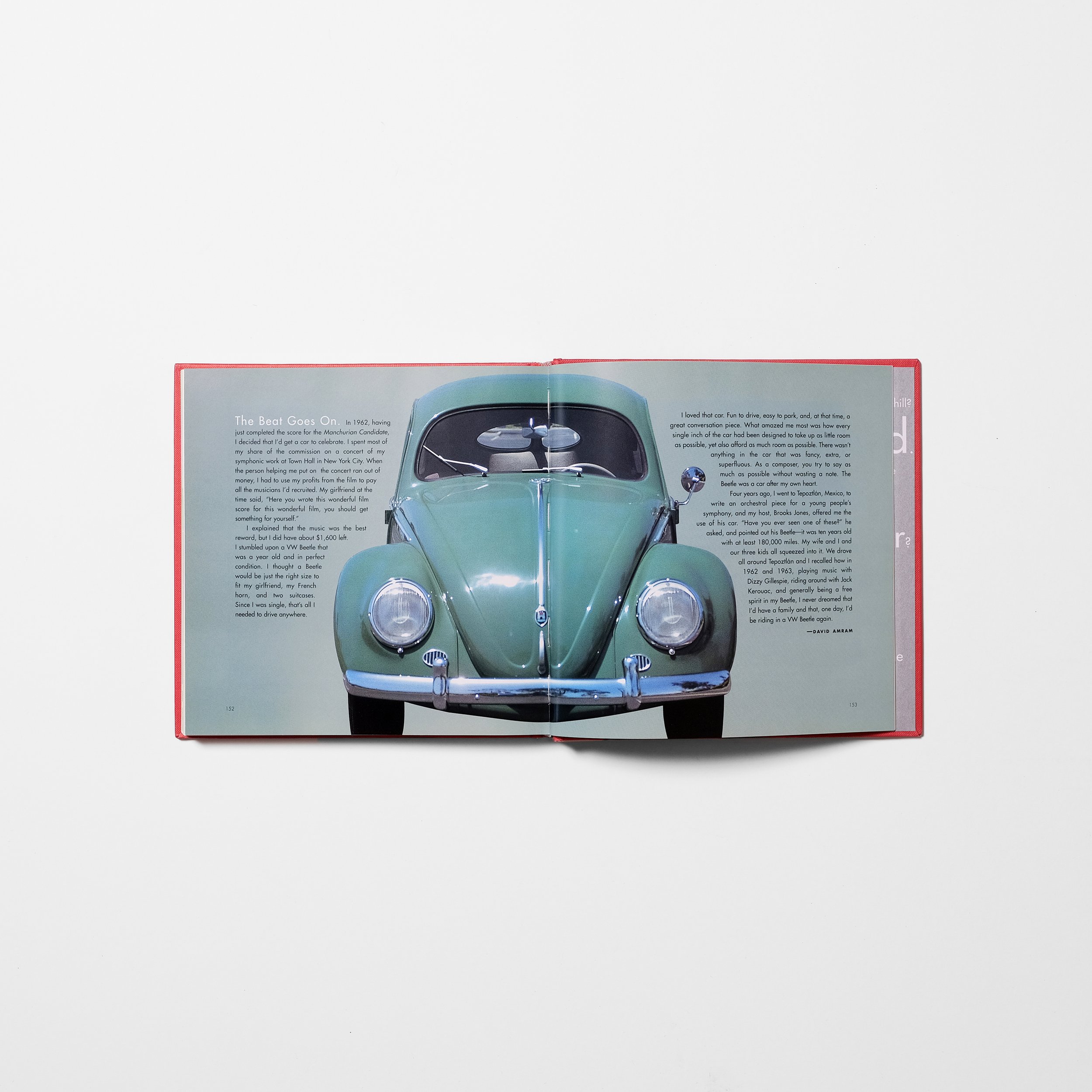 My Bug - Open 1 - Small Revisions.jpg