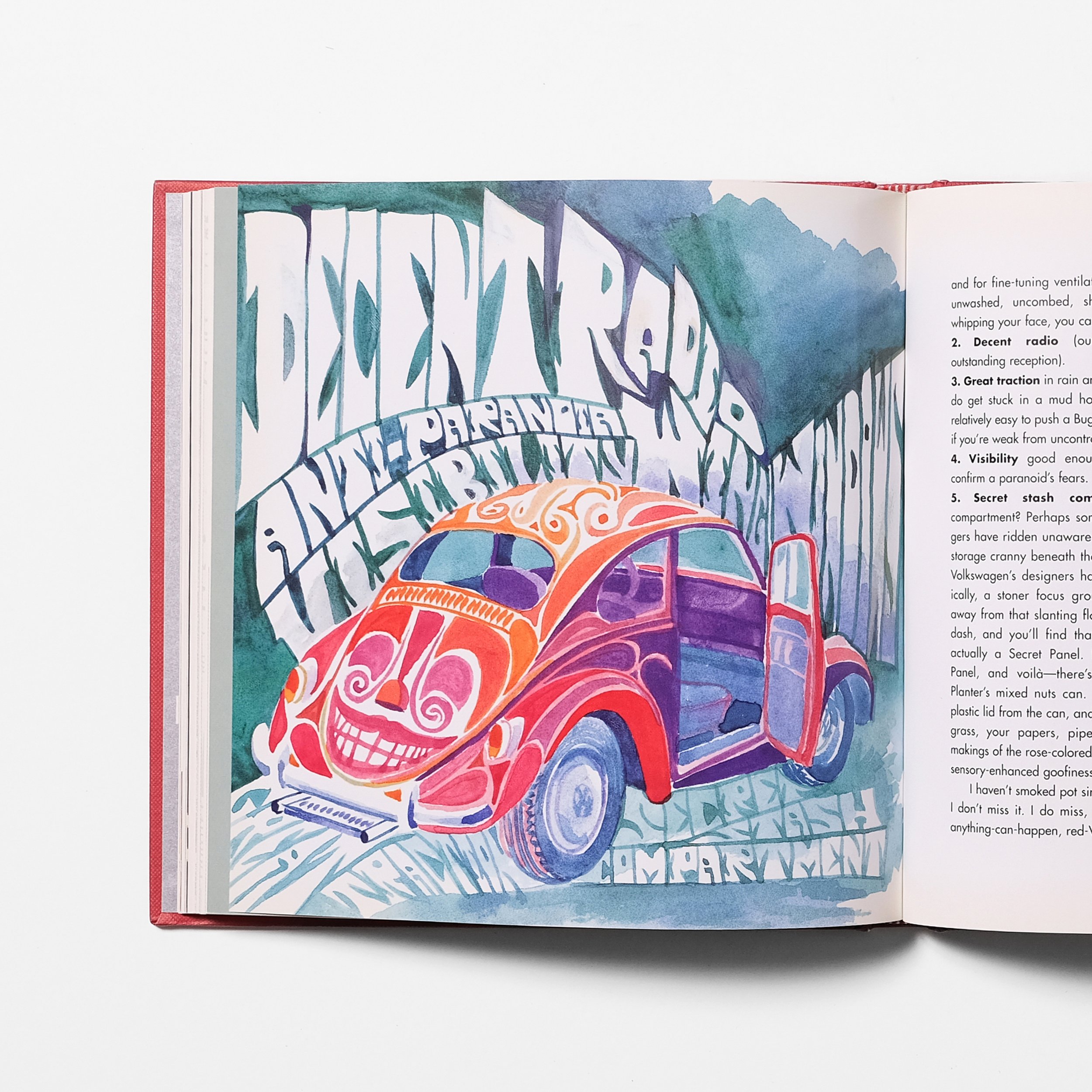 My Bug - Open 2 - Small Revisions.jpg