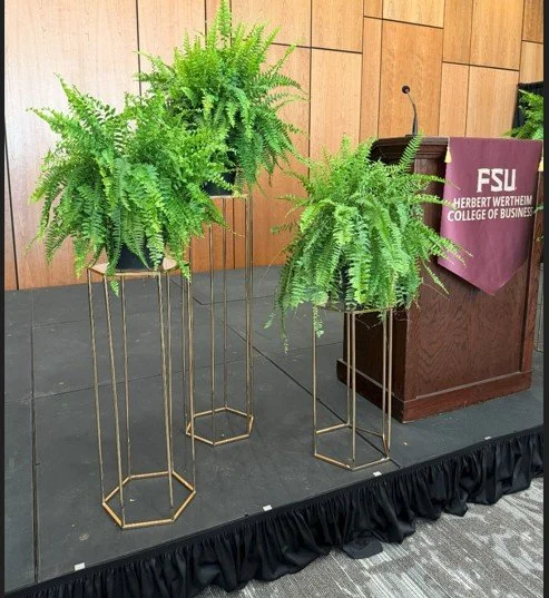 Set of 3 gold geometric pedastals.jpg