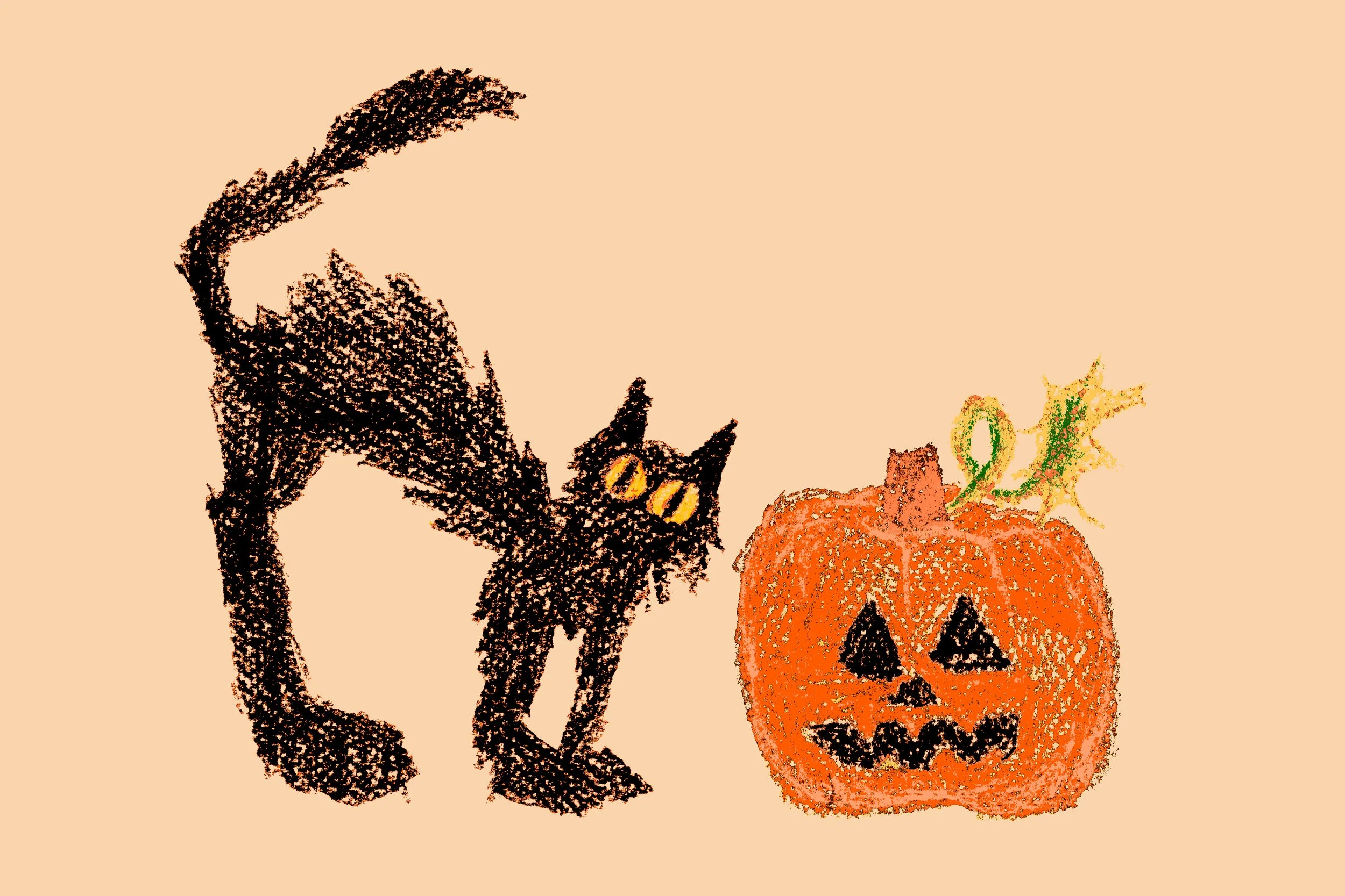 Black cat , pumpkin.jpg