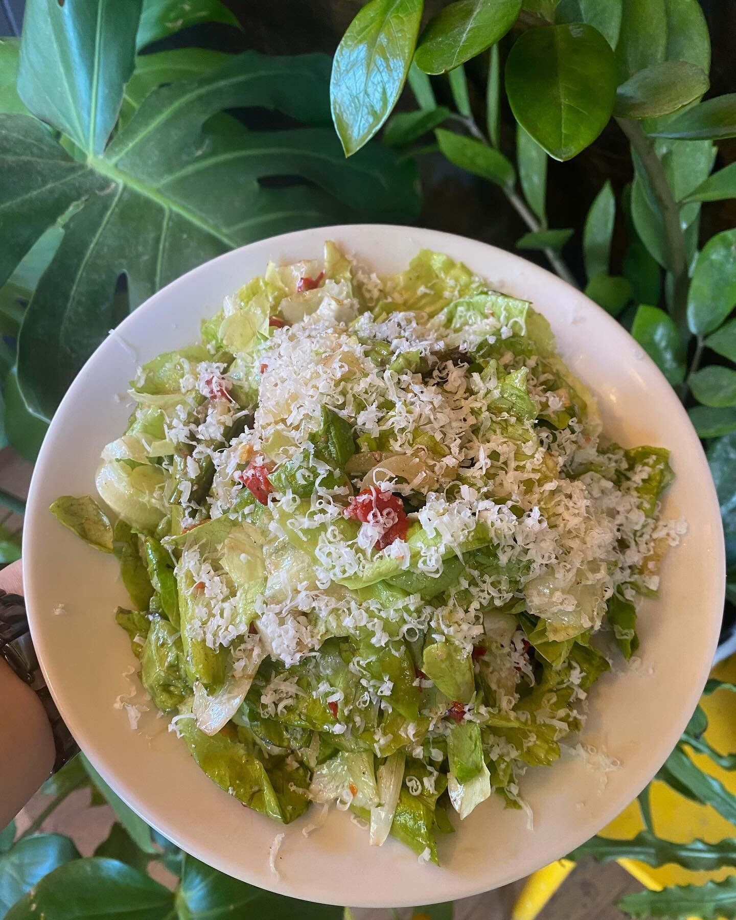 It&rsquo;s a beautiful day in the circle! ☀️☀️☀️

Stop by tonight and try our special salad with bibb lettuce, pickled banana peppers, roasted asparagus, marinated red peppers, manchego, and a sweet garlic vinaigrette 🤤
