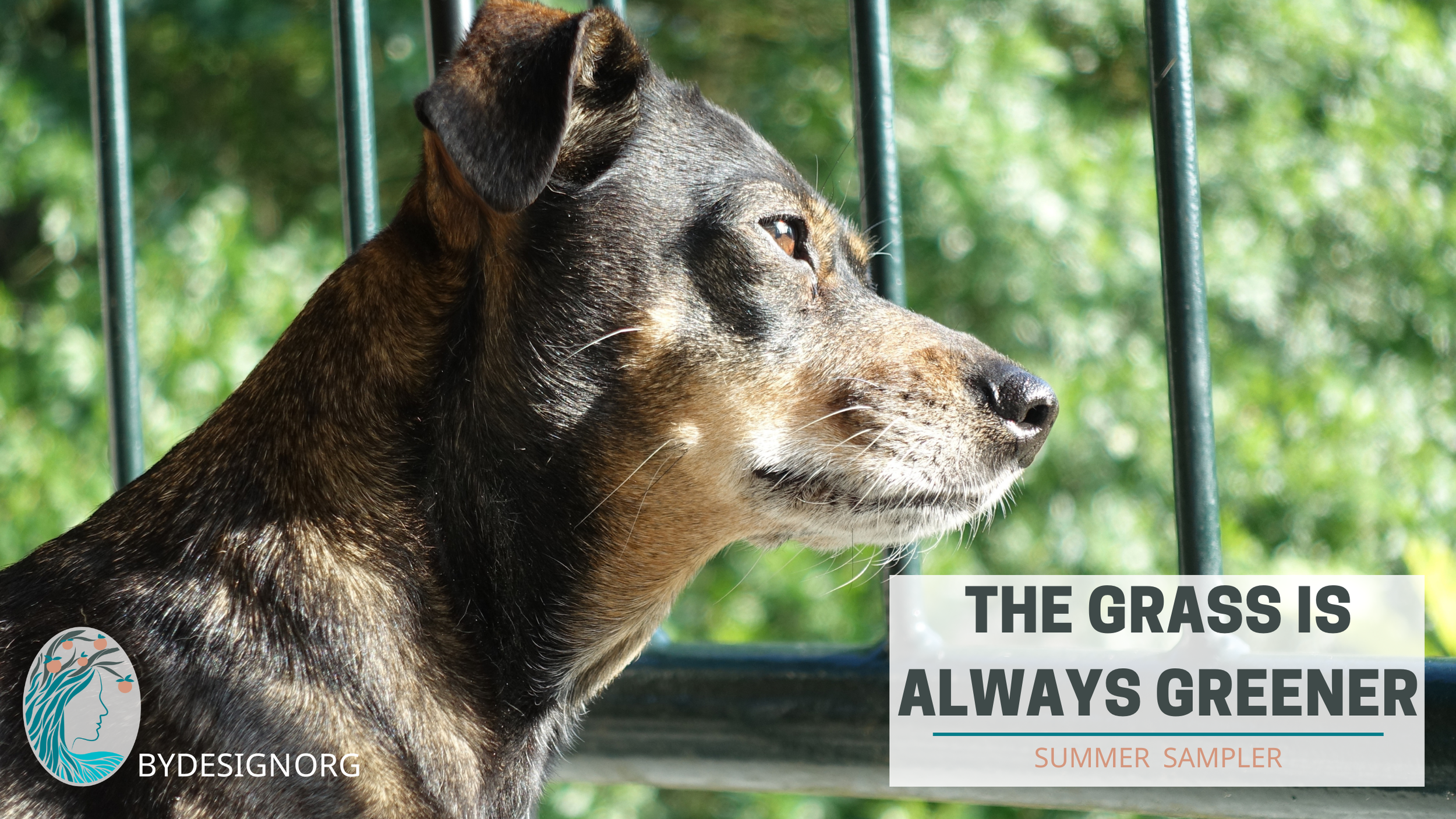 Summer Sampler: The Grass is Always Greener