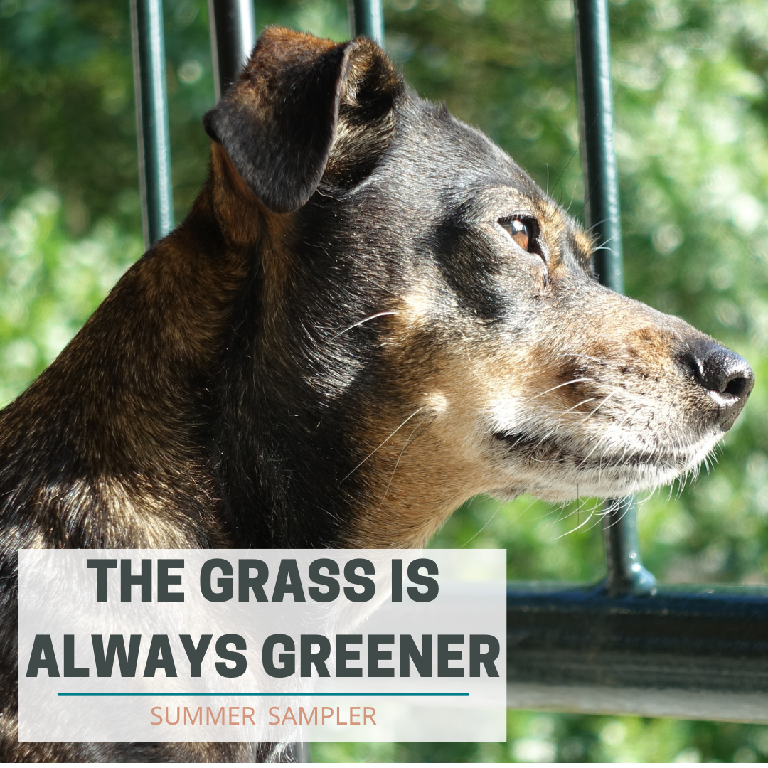 Summer Sampler: The Grass is Always Greener