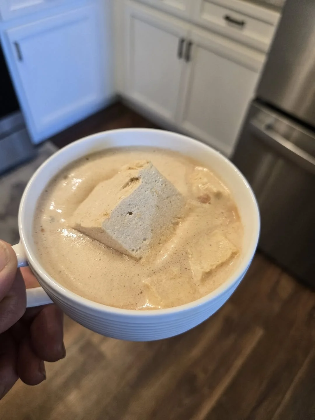 Hot Cocoa and Medicinal Marshmallows