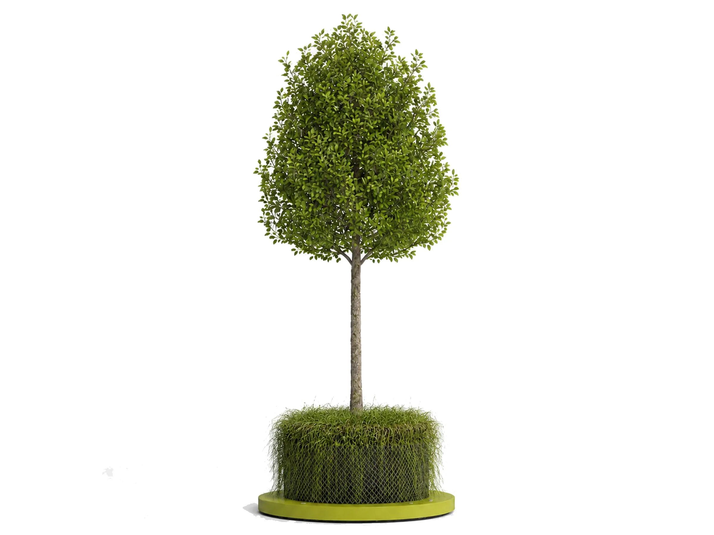 CityGreen Piatto