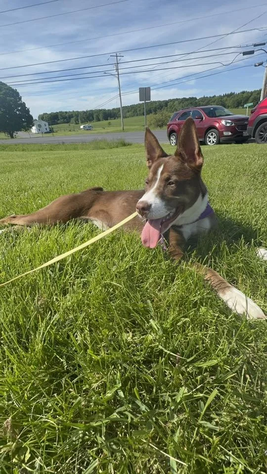 Zoey