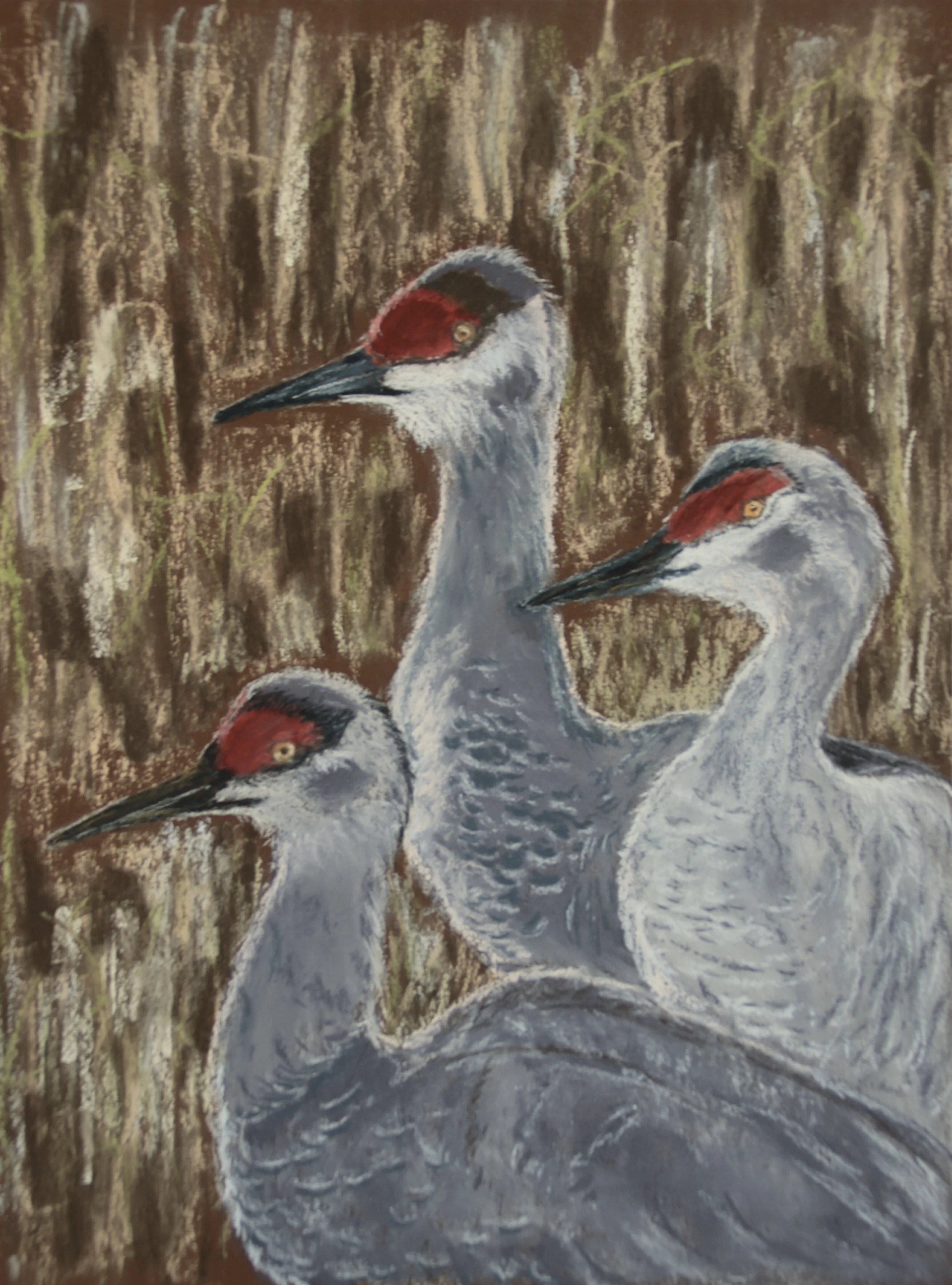 "Sandhill Crane Trio" - 
Soft Pastel Painting - 
15" x 12" - 
Framed in slender silver frame with white mat - 
$395.00