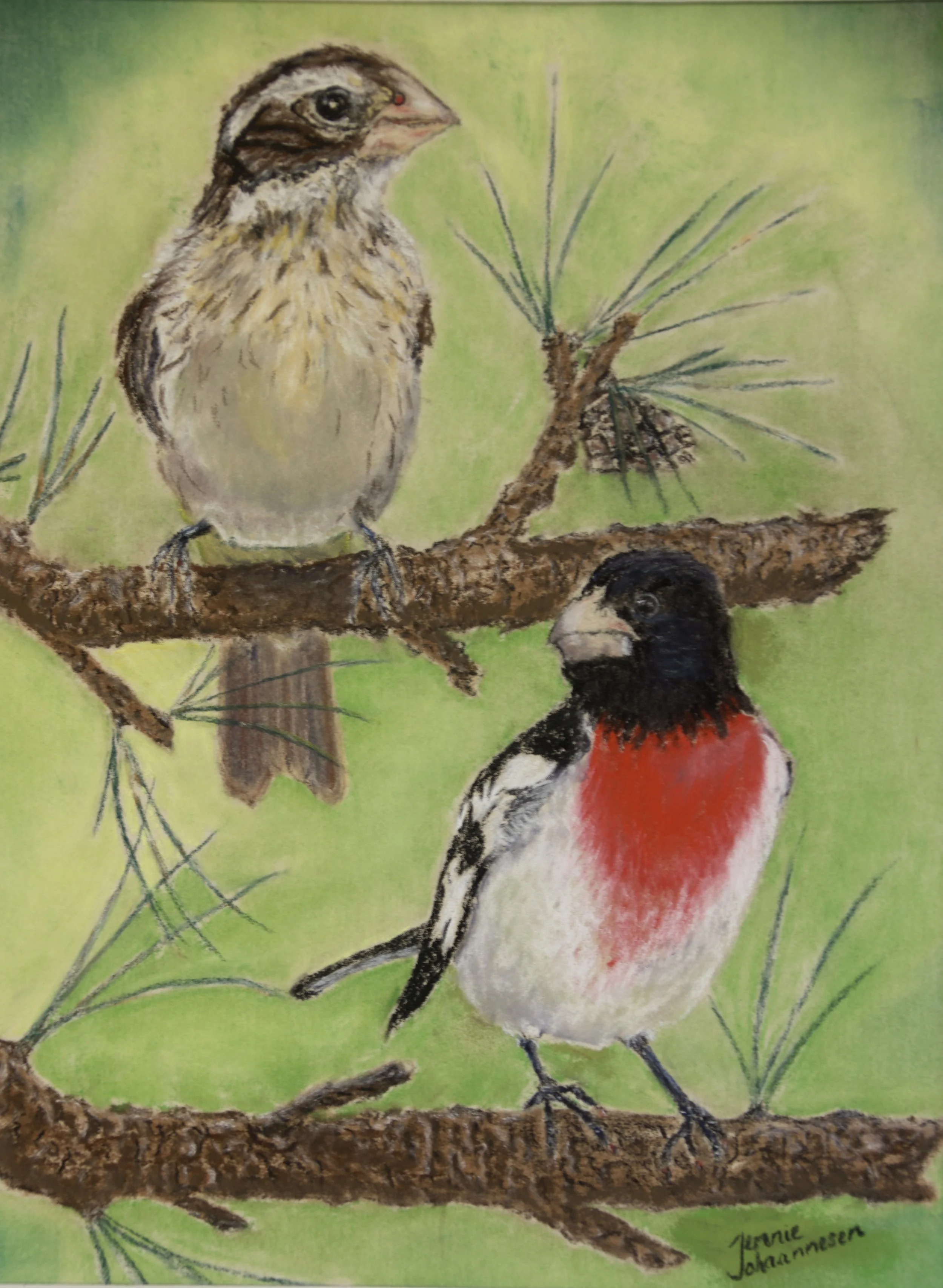 "Rose Breasted Grosbeak Pair"  -
 Soft Pastel Painting - 
15" x 12" - 
Framed in slender silver frame with white mat - 
$325.00