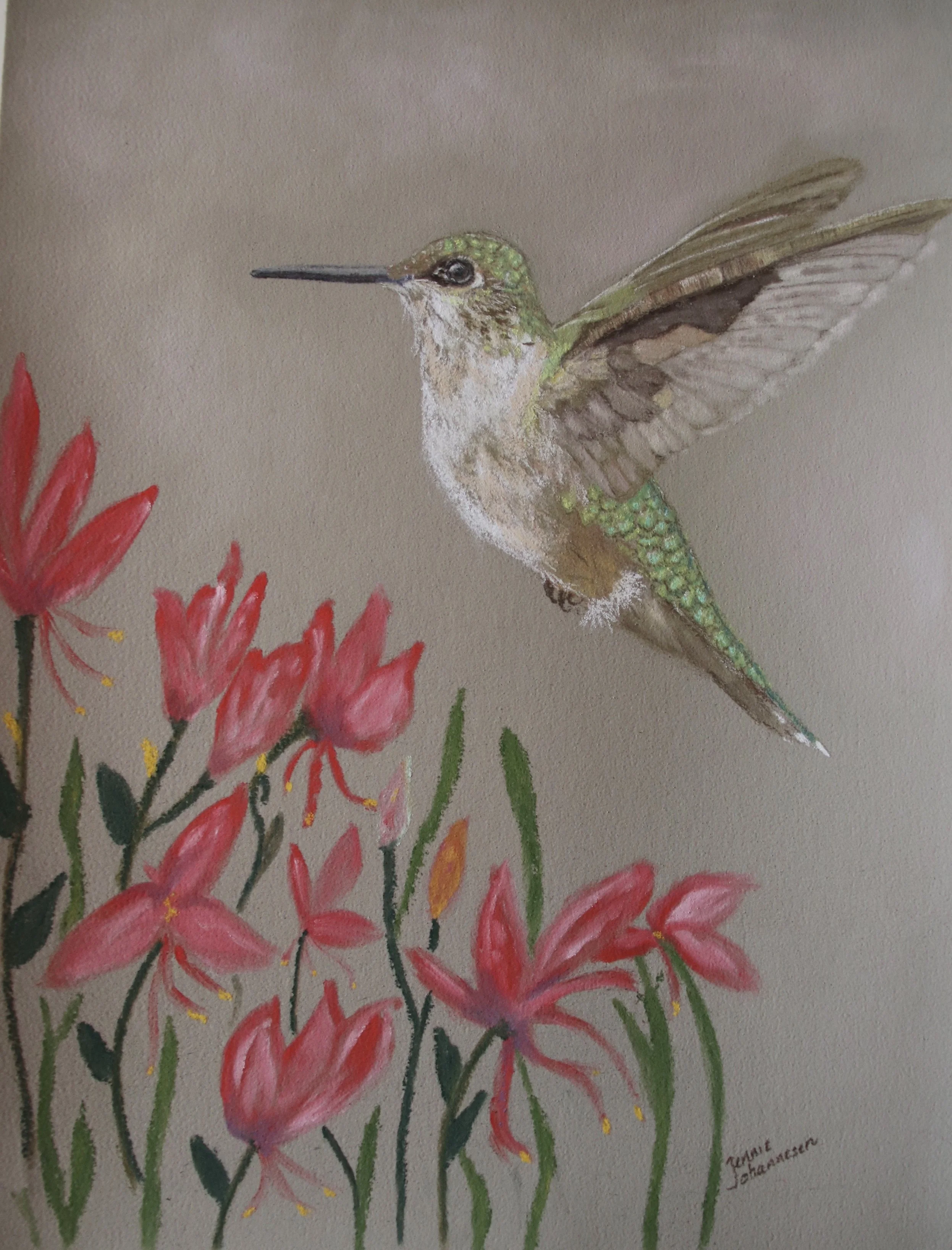 "Hummer in Pink Flowers" - 
Soft Pastel Painting - 
15" x 12" - 
Framed in slender silver frame with white mat - 
Sold