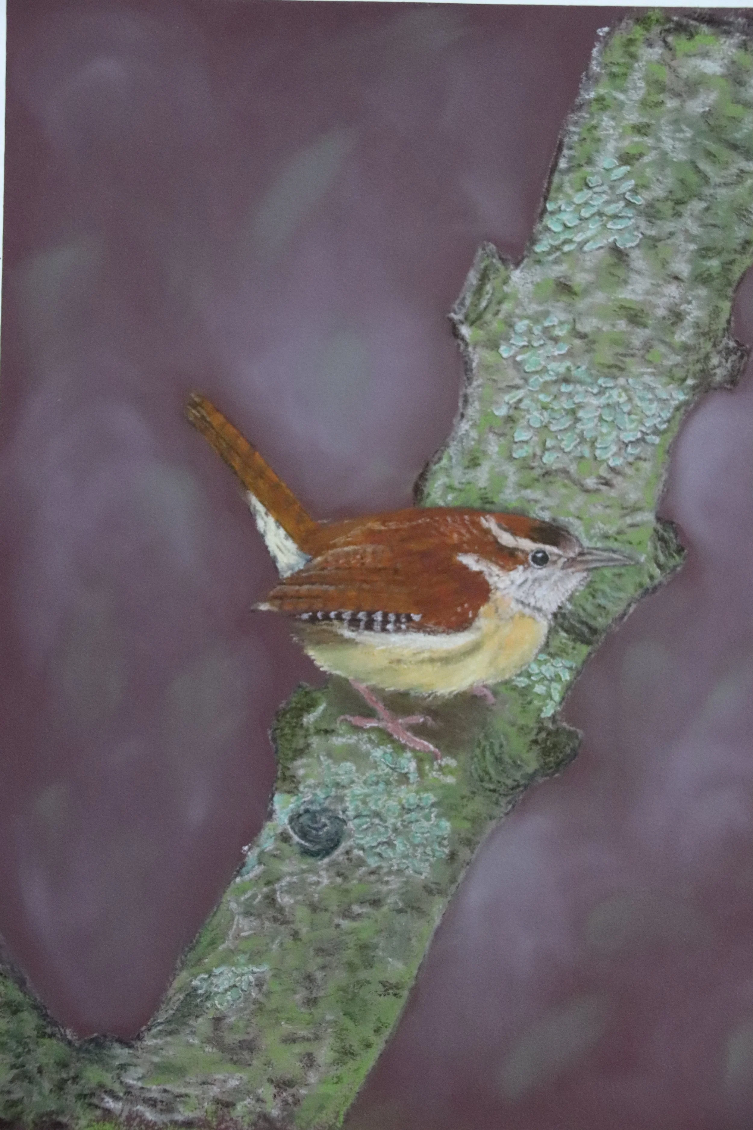 "Carolina Wren II" - 
Soft Pastel Painting based on a photo by Shankar Ramachandran - used with permission - 
15" x 12" - 
Framed in silver with a white mat - 
$350