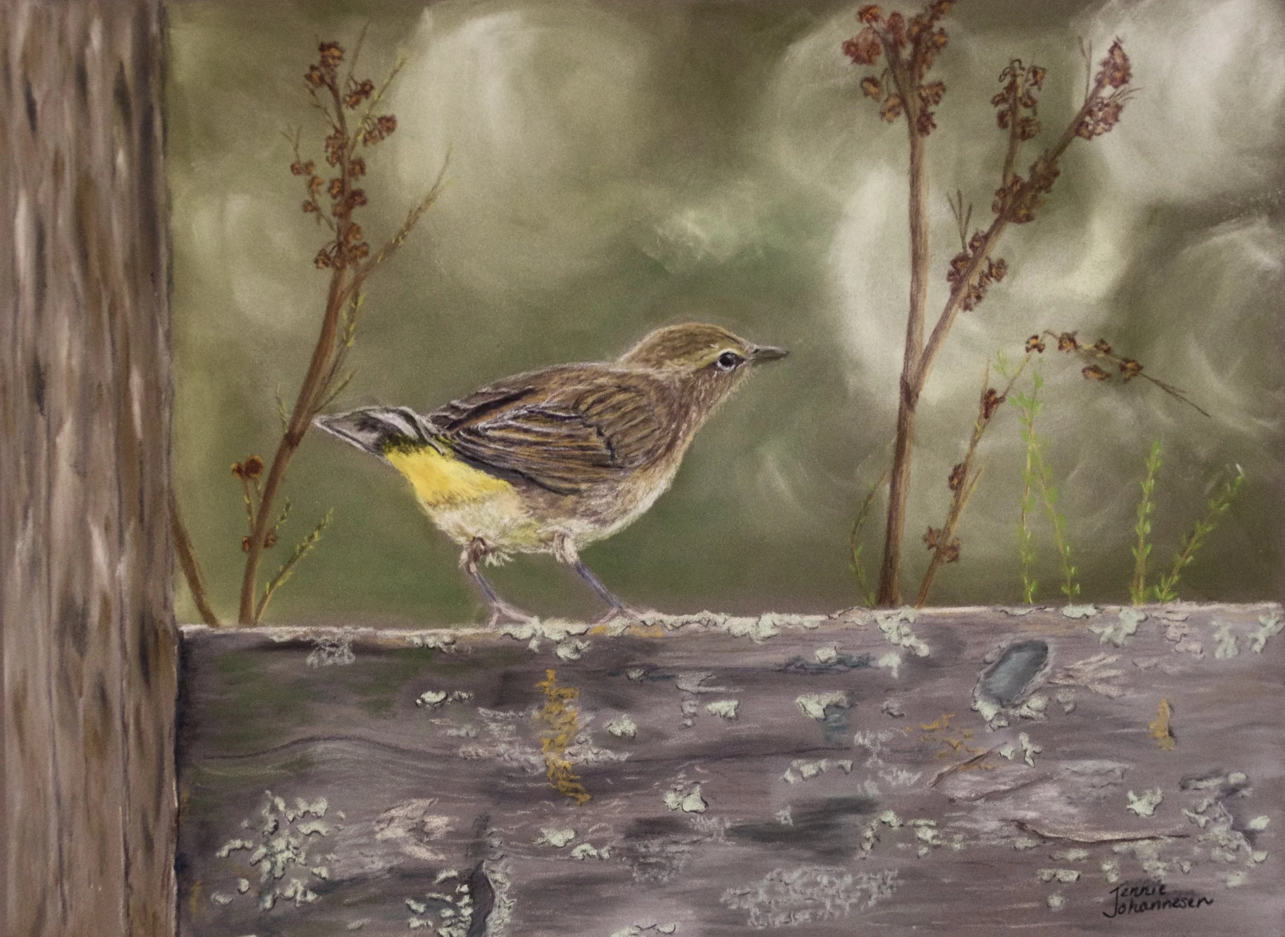 "Palm Warbler" - 
Soft Pastel Painting based on reference photo by Tammy Kasper Kartes - used with permission - 
12" x 15" - 
Framed in black metal with light brown mat - 
Sold