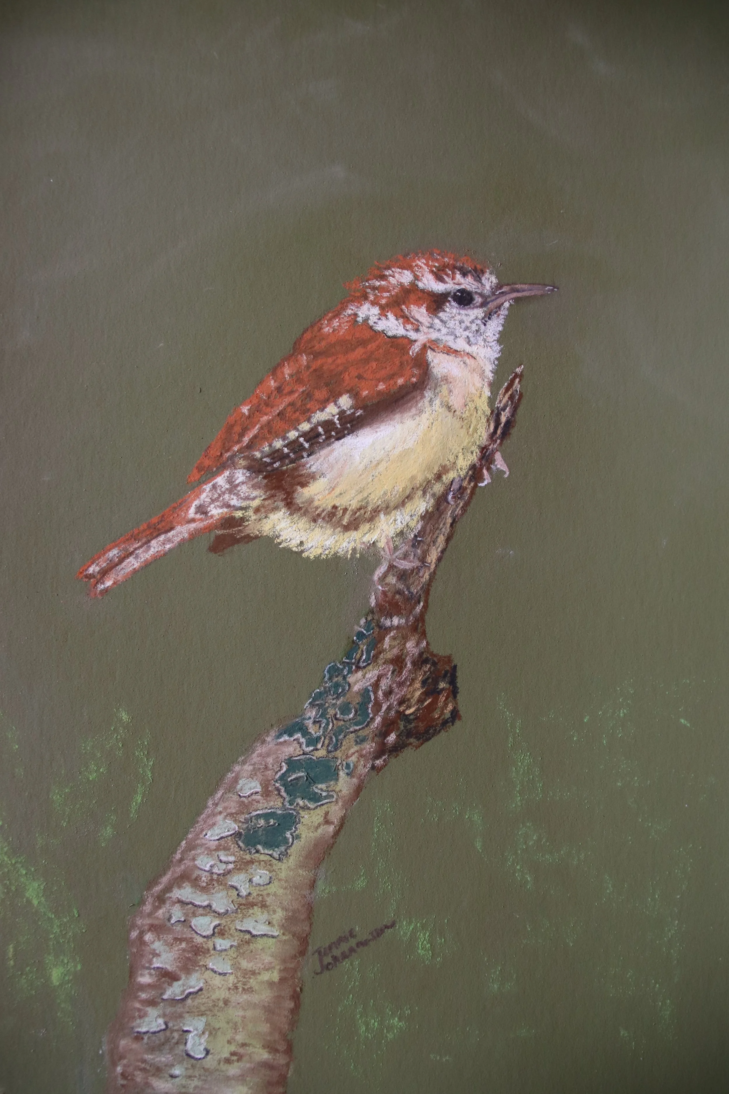 "Carolina Wren" - 
Soft Pastel Painting - 
15" x 12" - 
Framed in silver with a white mat - 
Sold