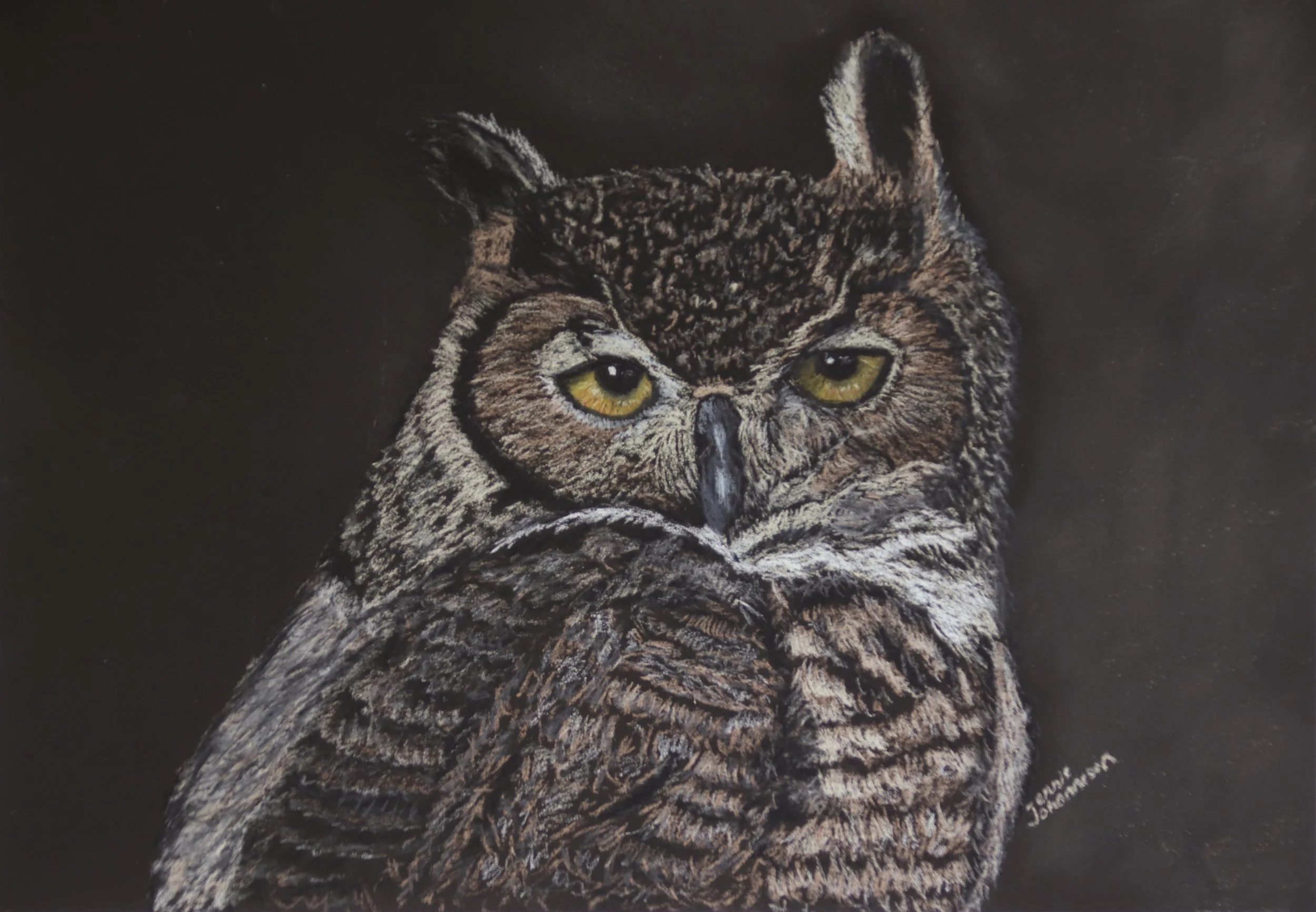 "Whoo's Watching You - Great Horned Owl" - 
Soft Pastel Painting - 
15" x 12" - 
Framed in black metal with brown mat - 
Sold