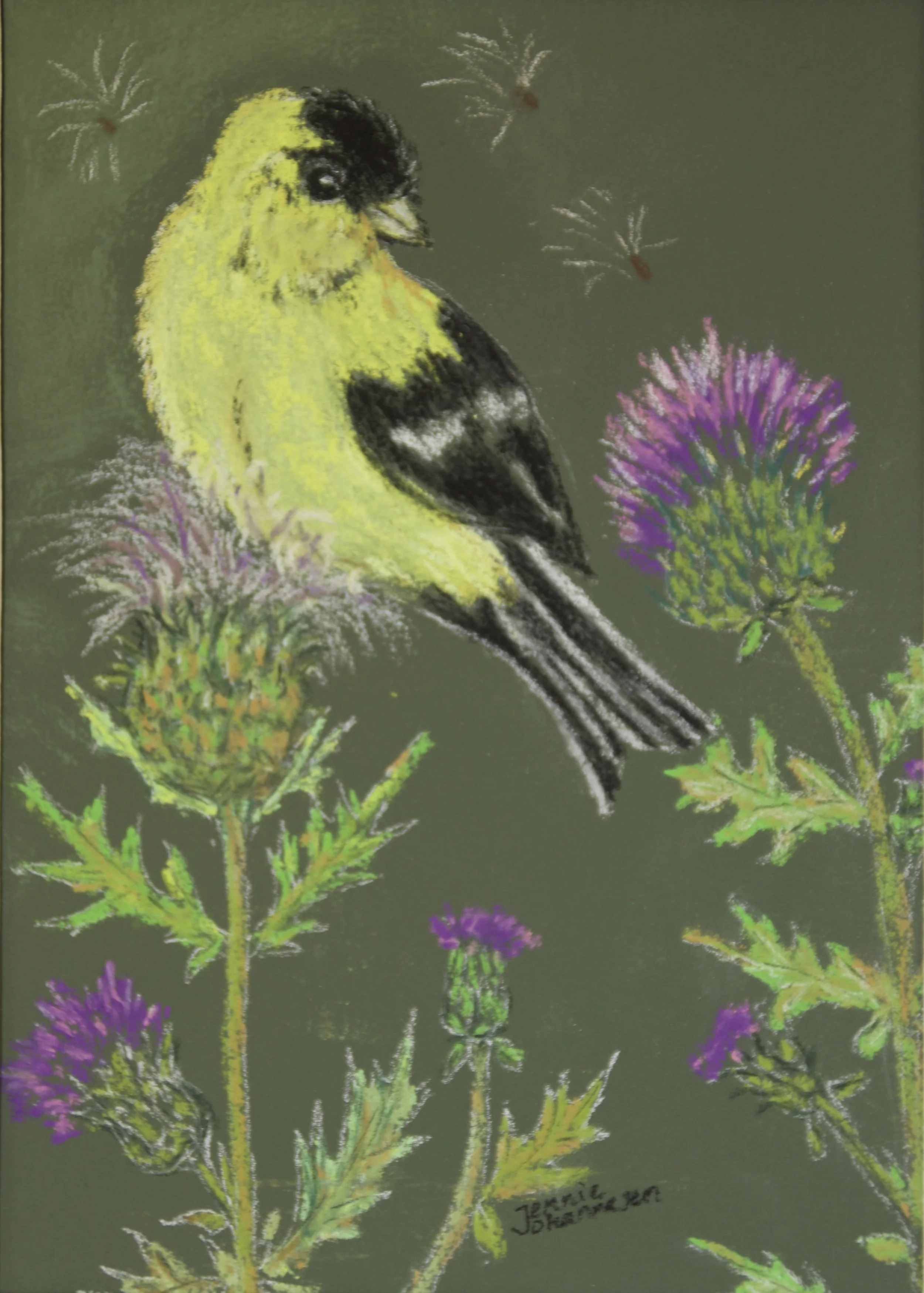 "American Goldfinch - On a Thistle" - 
Soft Pastel Painting - 
12" x 12" - 
Framed in silver with a white mat - 
Sold