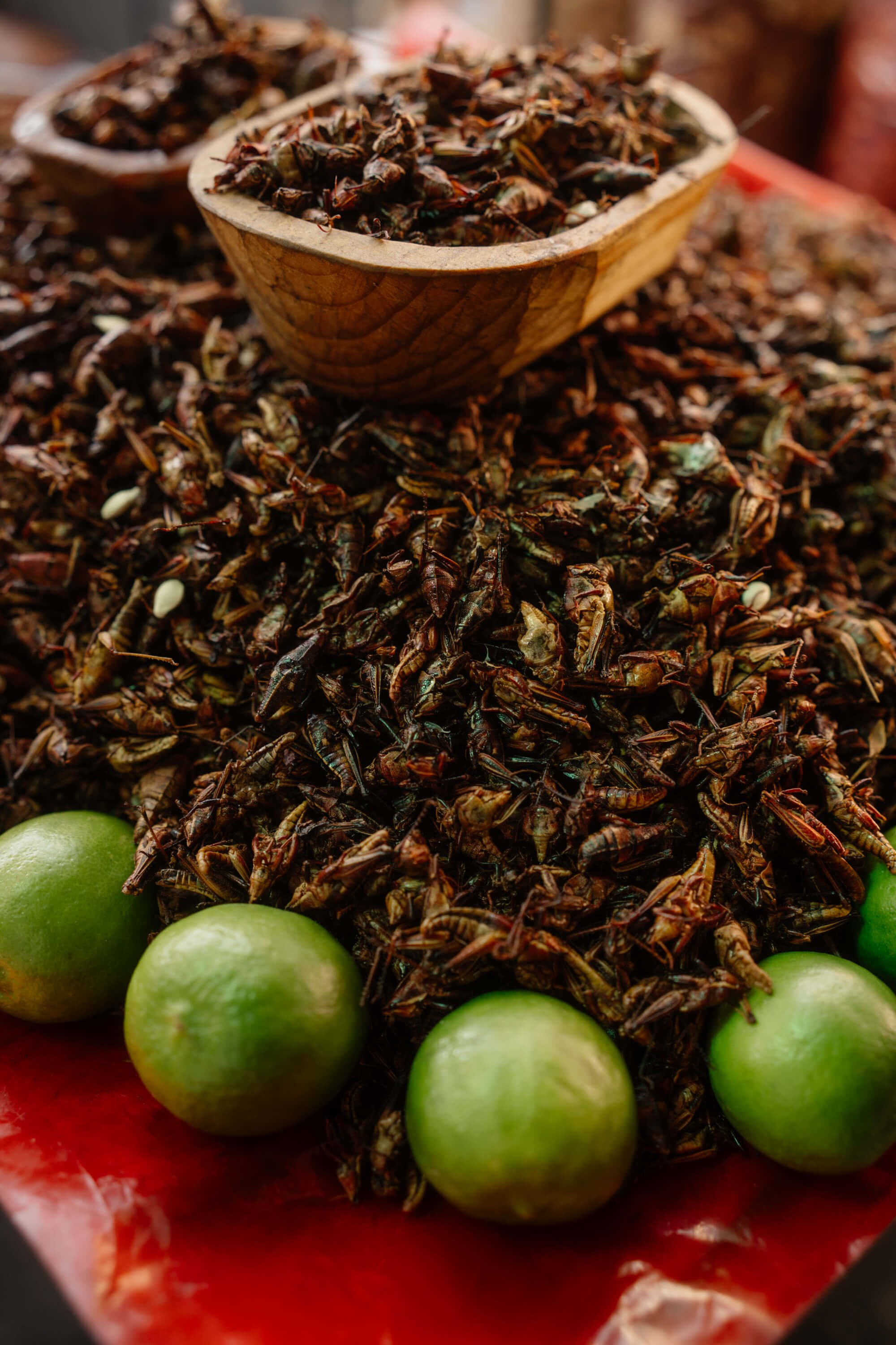 Chapulines