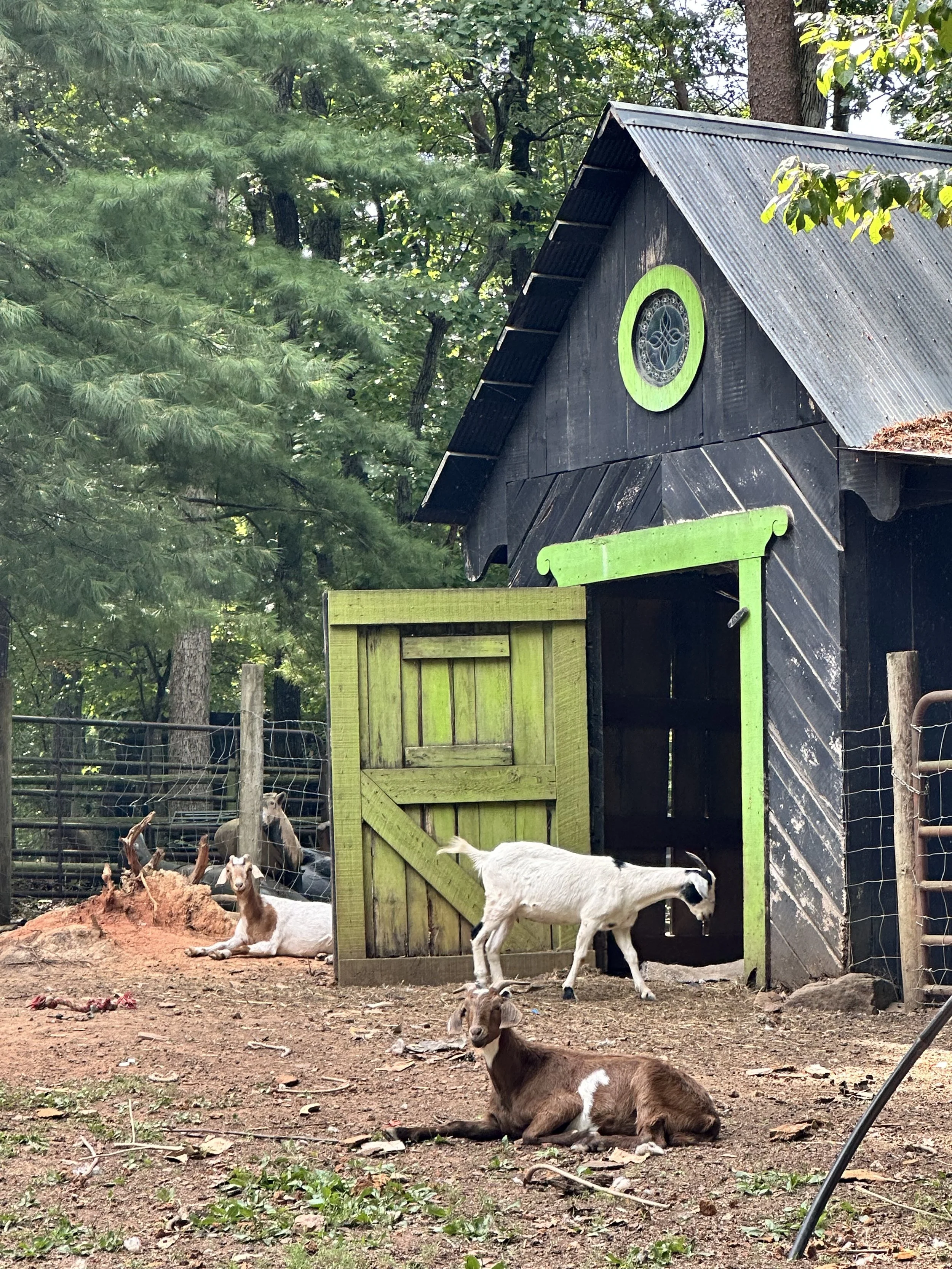 The Property — Spring Lake Farm