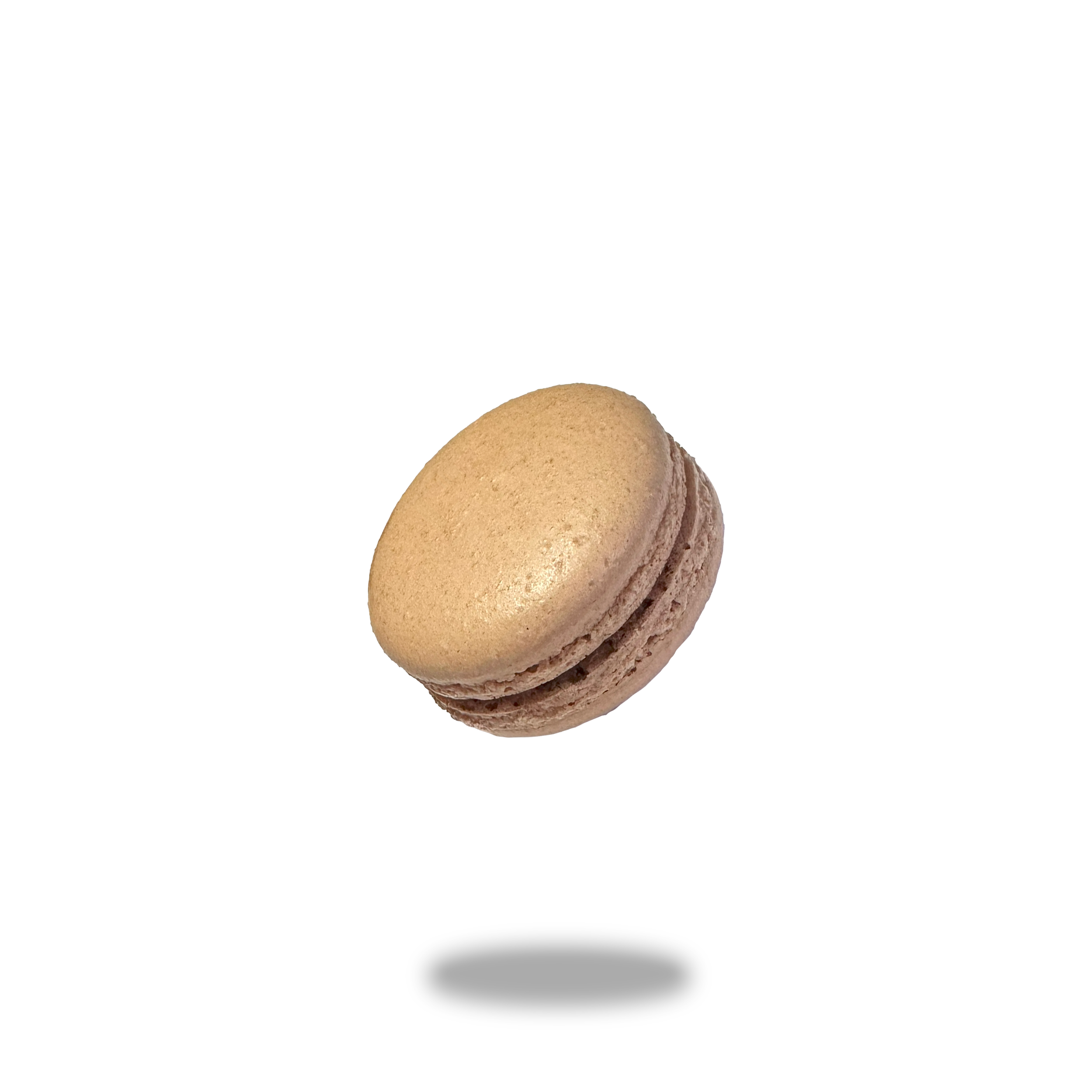Chocolate Raspberry