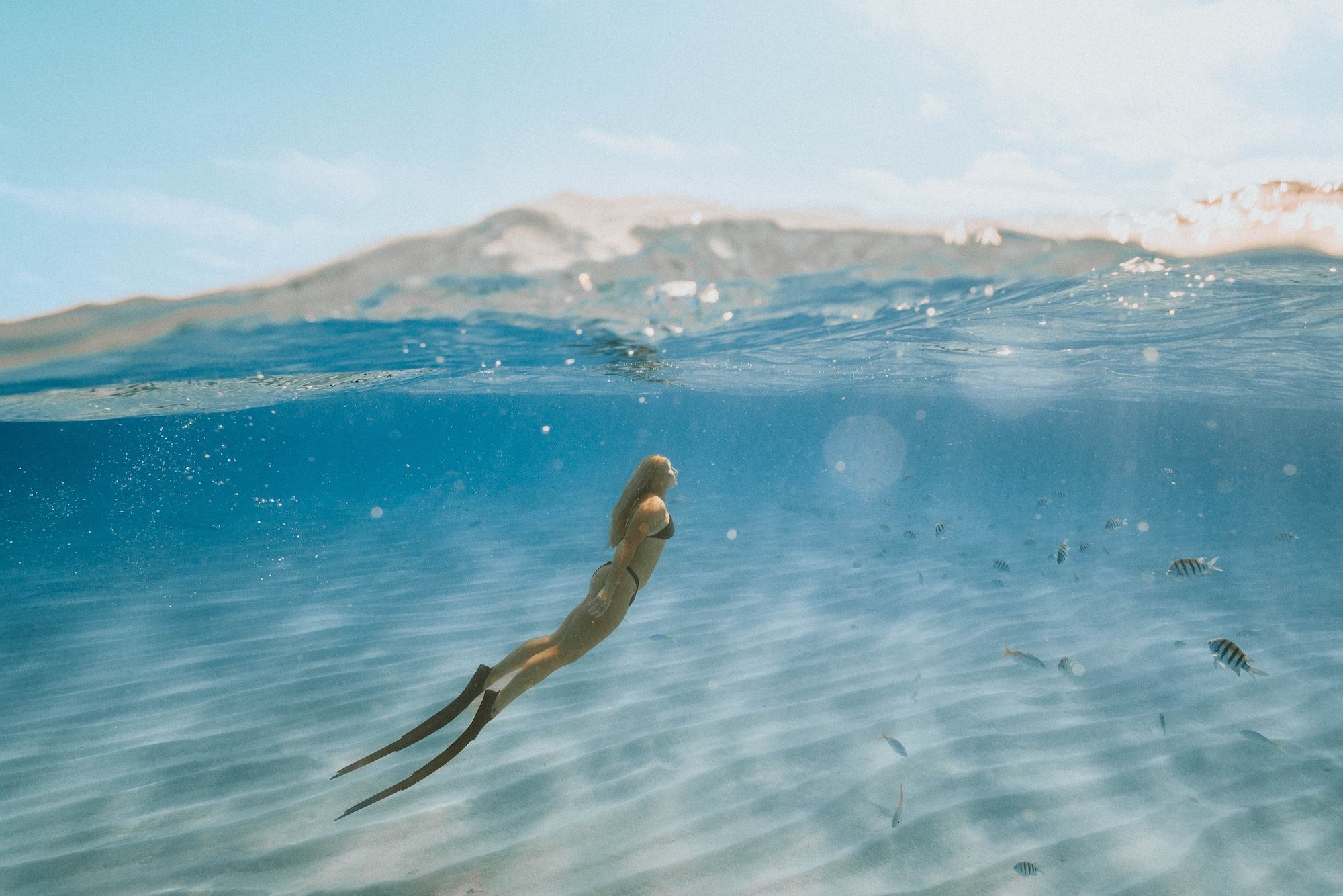 An+Unforgettable+Underwater+Photoshoot+Adventure+in+the+Florida+Keys+-+6-min.jpeg
