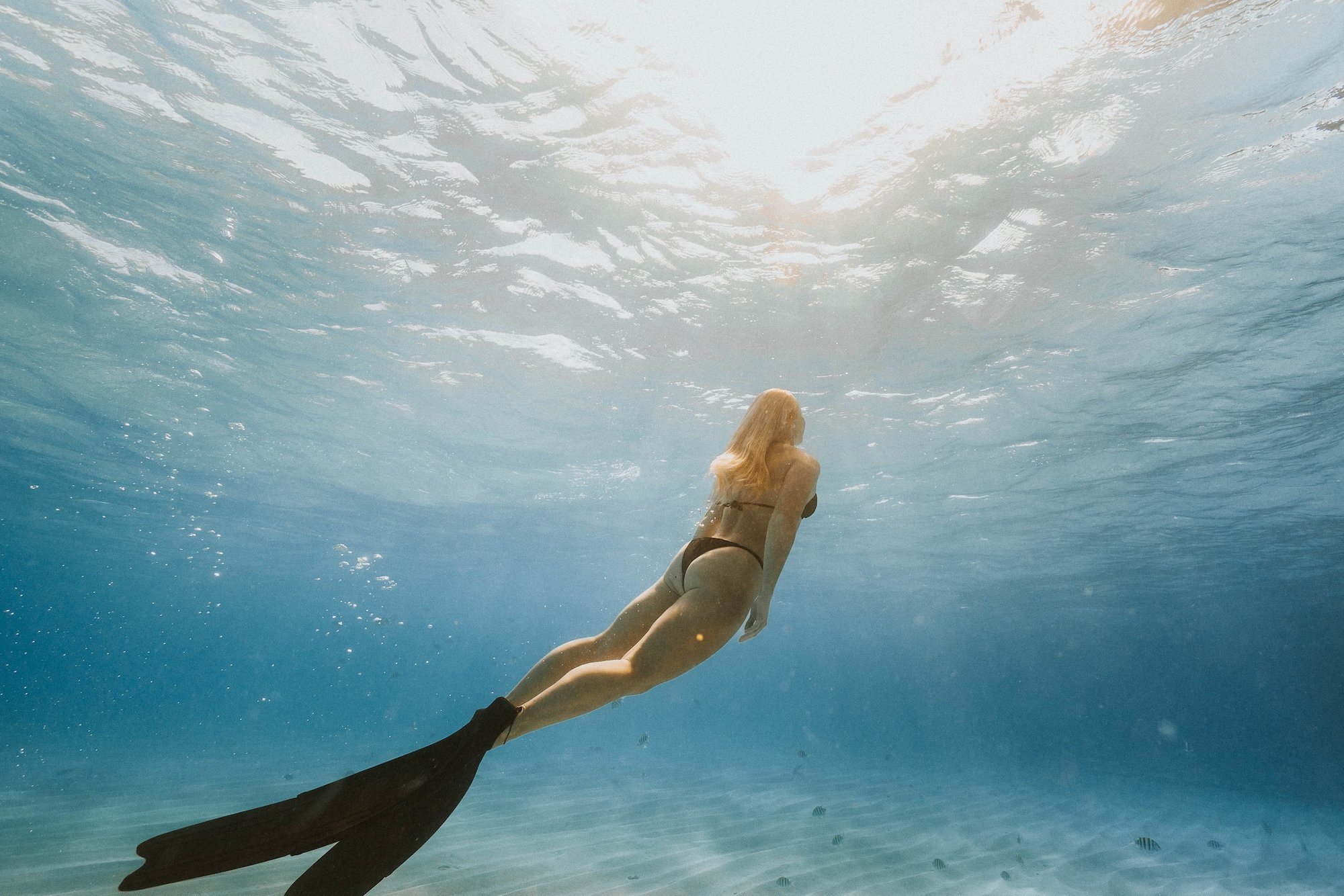 An+Unforgettable+Underwater+Photoshoot+Adventure+in+the+Florida+Keys+-+4-min.jpeg