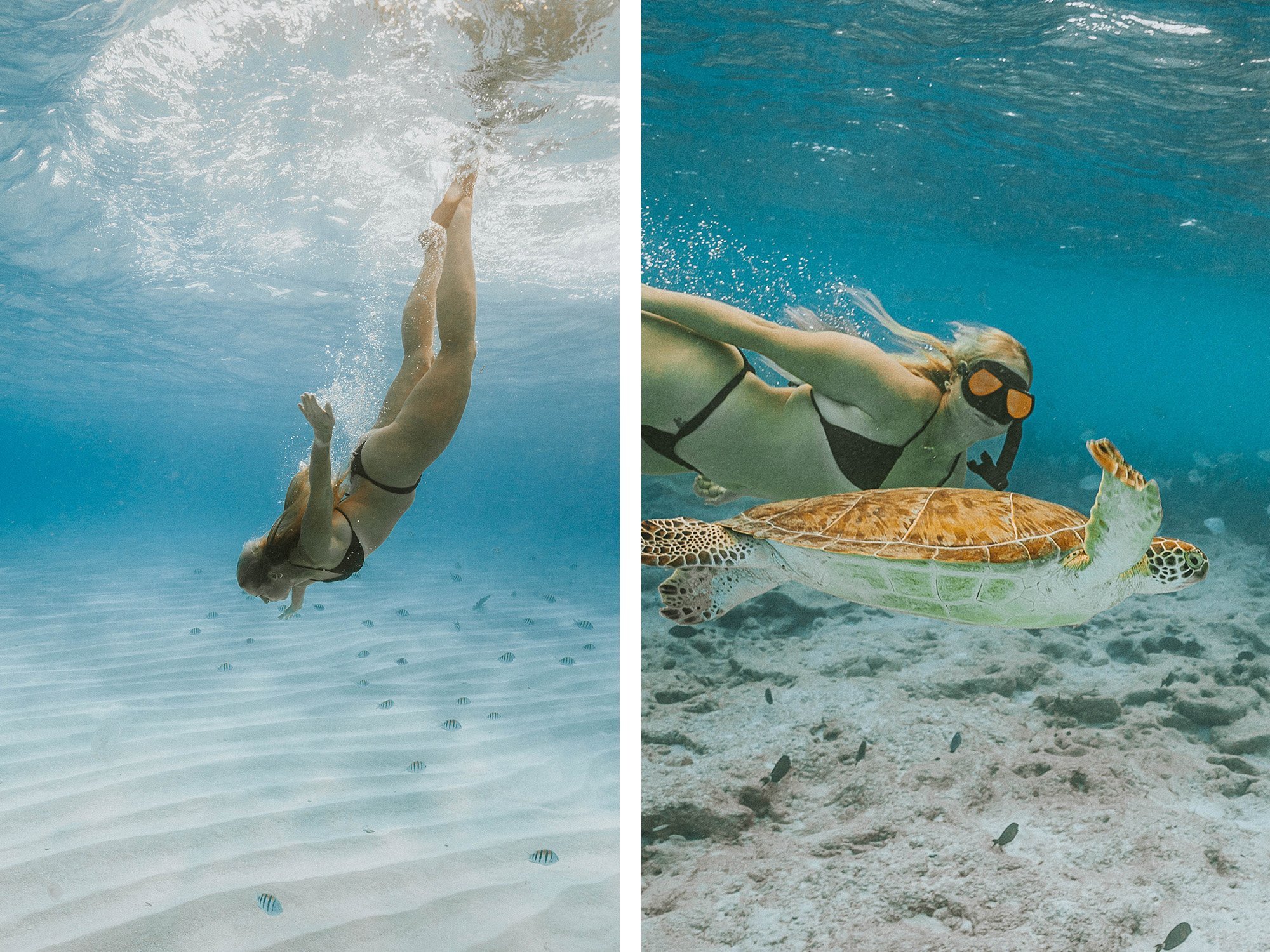 An+Unforgettable+Underwater+Photoshoot+Adventure+in+the+Florida+Keys+-+9-min.jpeg