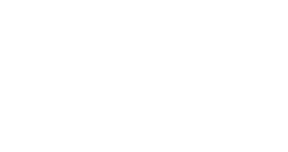 Cirque du Soleil