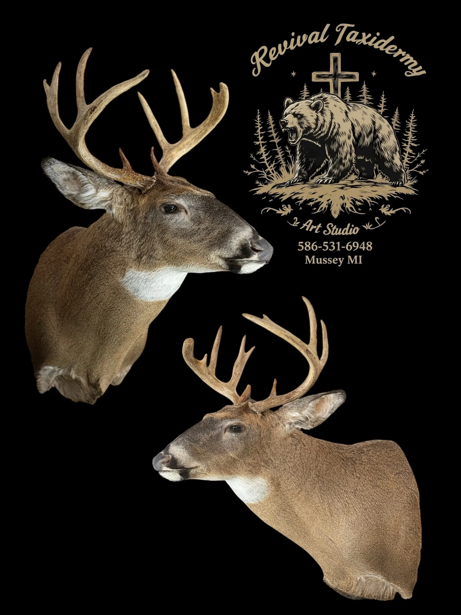 Black background poster features two mounted deer heads with antlers, one large and one smaller. The top right corner has a logo with a bear, trees, and a cross, reading 'Revival Taxidermy' and 'z Art Studio', along with contact information and locat