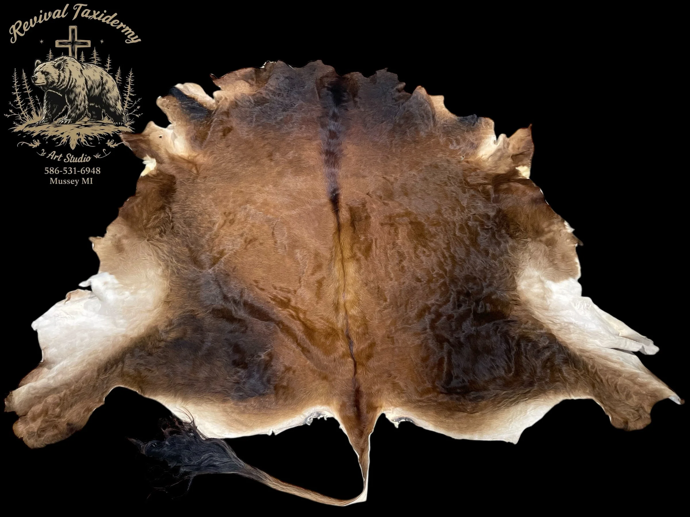 Raw animal hide on black background with a logo for Revival Taxidermy in Mussey, MI, showing a bear with trees and a cross.