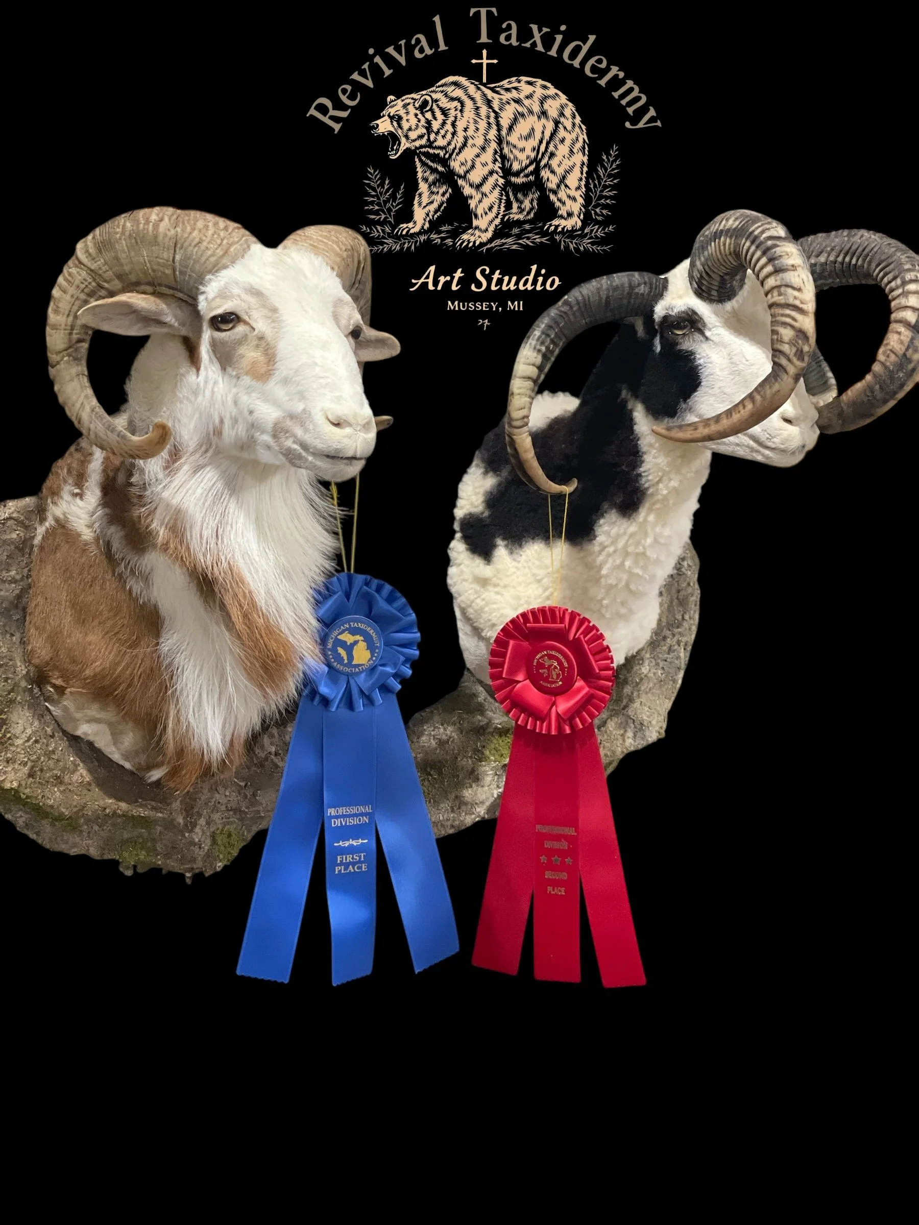 Photoroom_20250413_171529 (1).JPEG