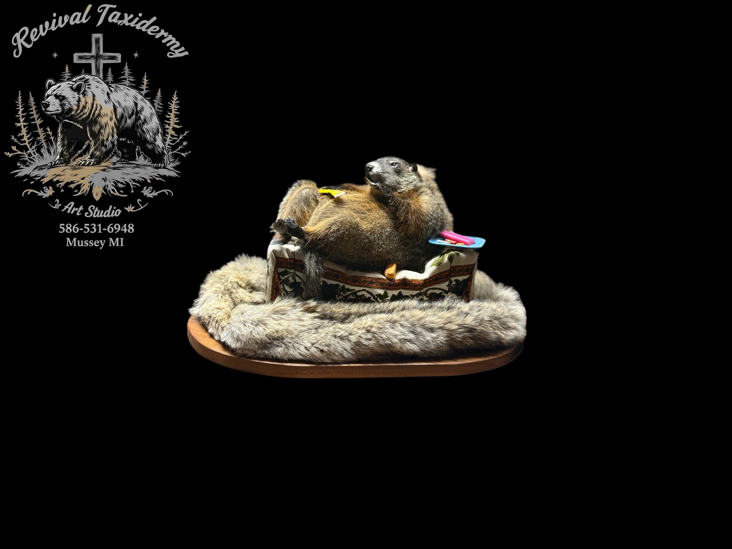 Reclining Groundhog Oddity Mount - Custom Couch Scene