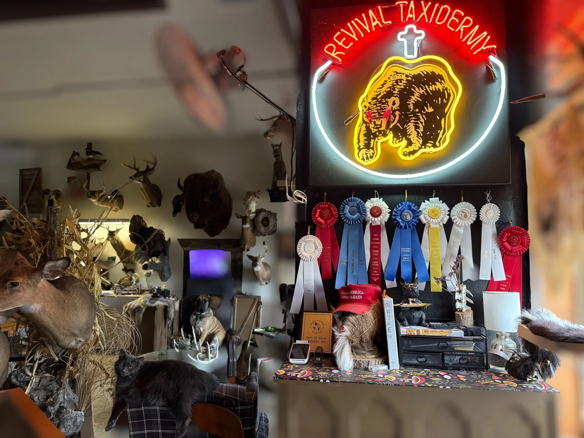 Interior of a wildlife taxidermy display shop with mounted animals, animal heads, and taxidermy awards, illuminated by a neon sign that reads 'Revenge Taxidermy' with a bear emblem.