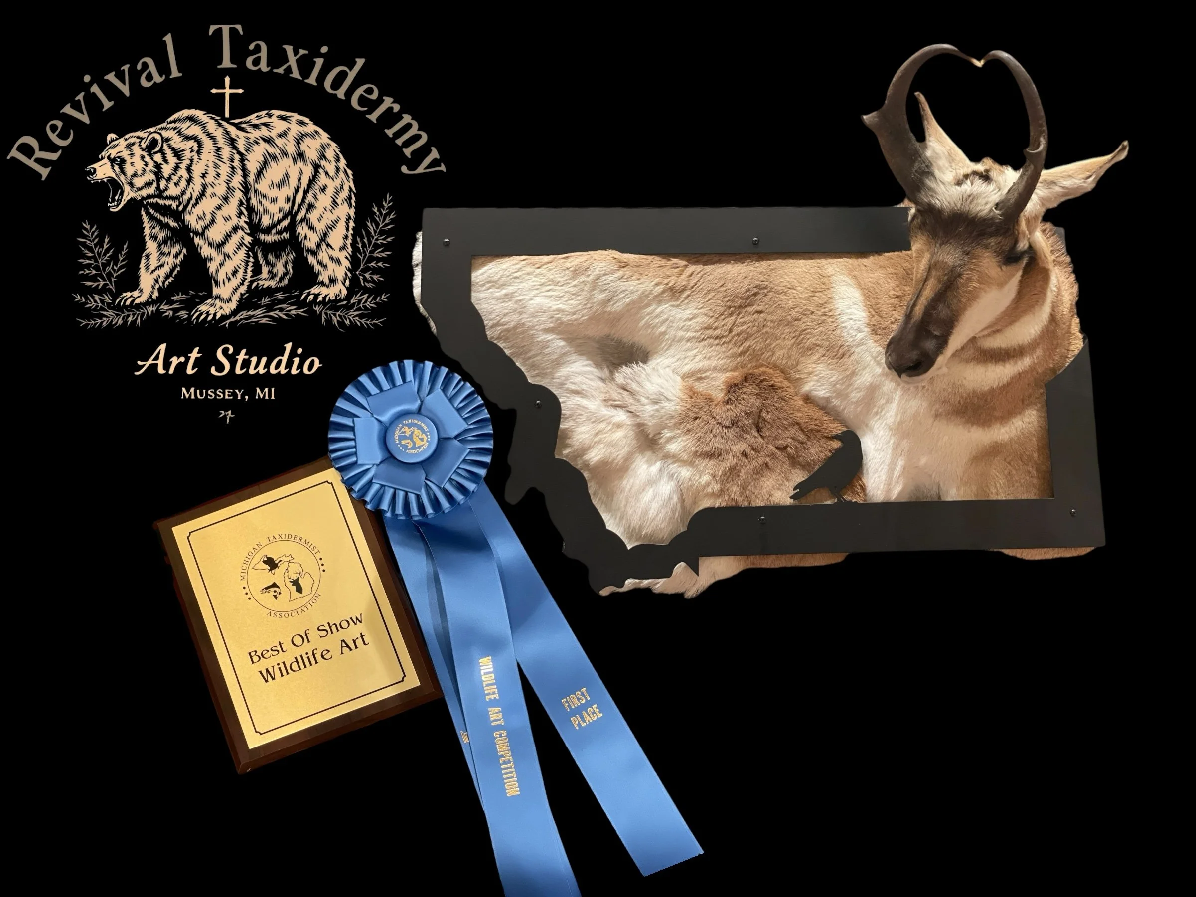 Photoroom_20250413_172445 (1).JPEG