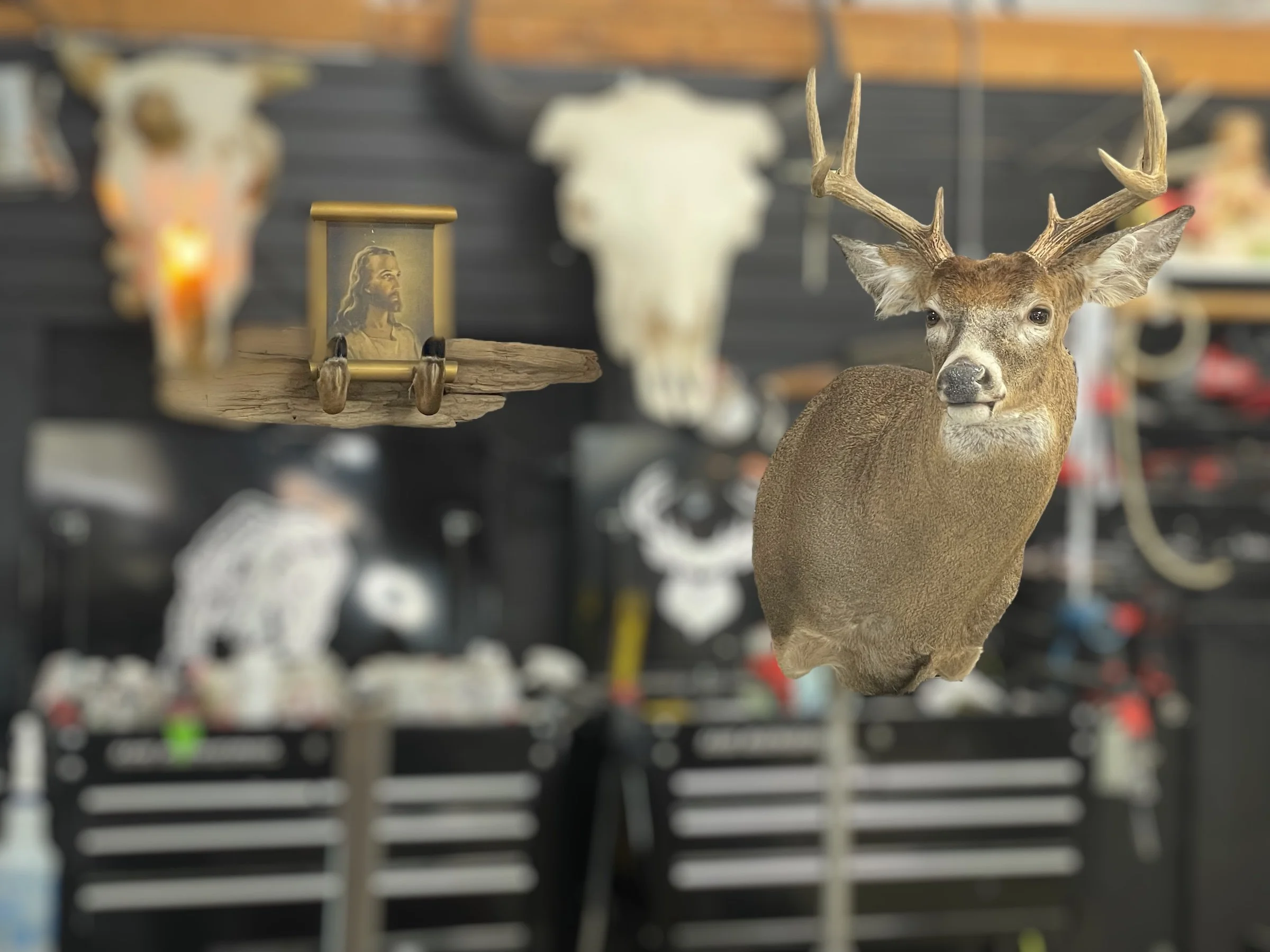 Photoroom_20250220_dawson .jpg