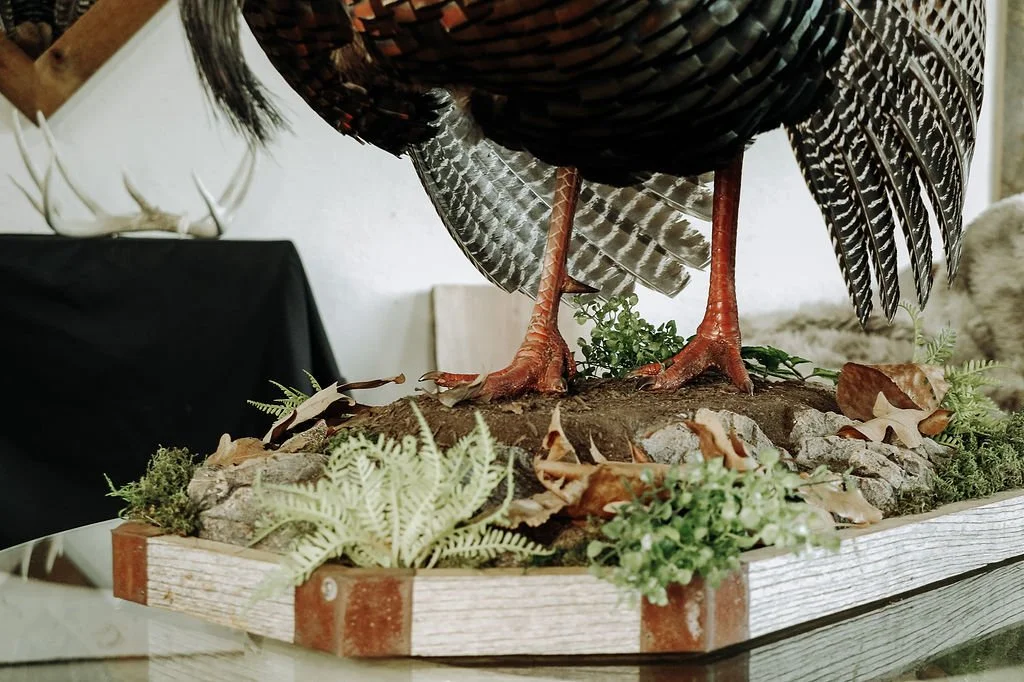 Custom Turkey Habitat