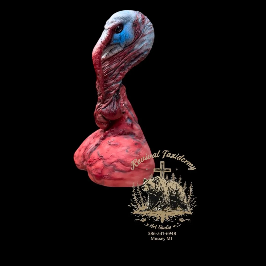 Turkey "Head" Relic--Hand Sculpted Oddity