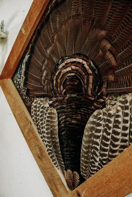 Full Fan Feather Art

