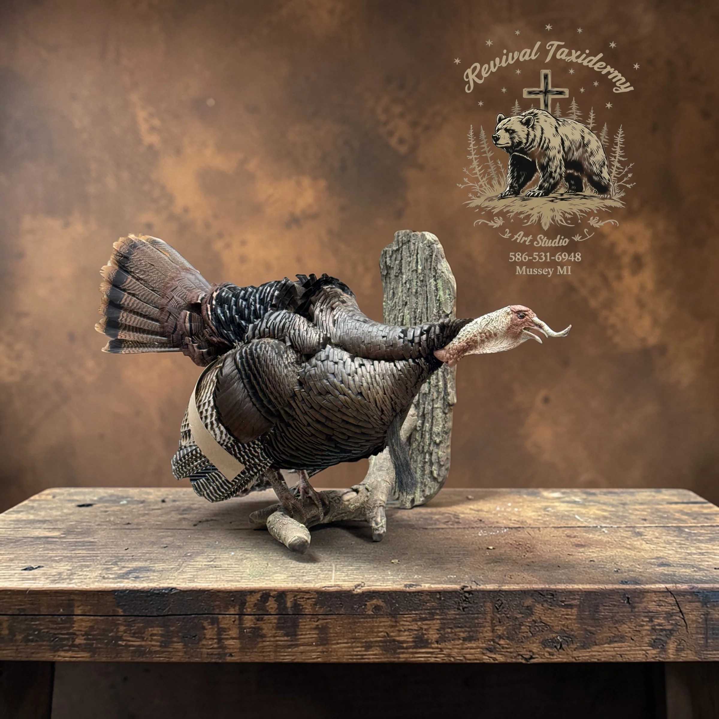 Taxidermy turkey displayed on a wooden table with a wooden background. Logo for Revival Taxidermy with a bear, cross, and trees in the top right corner.
