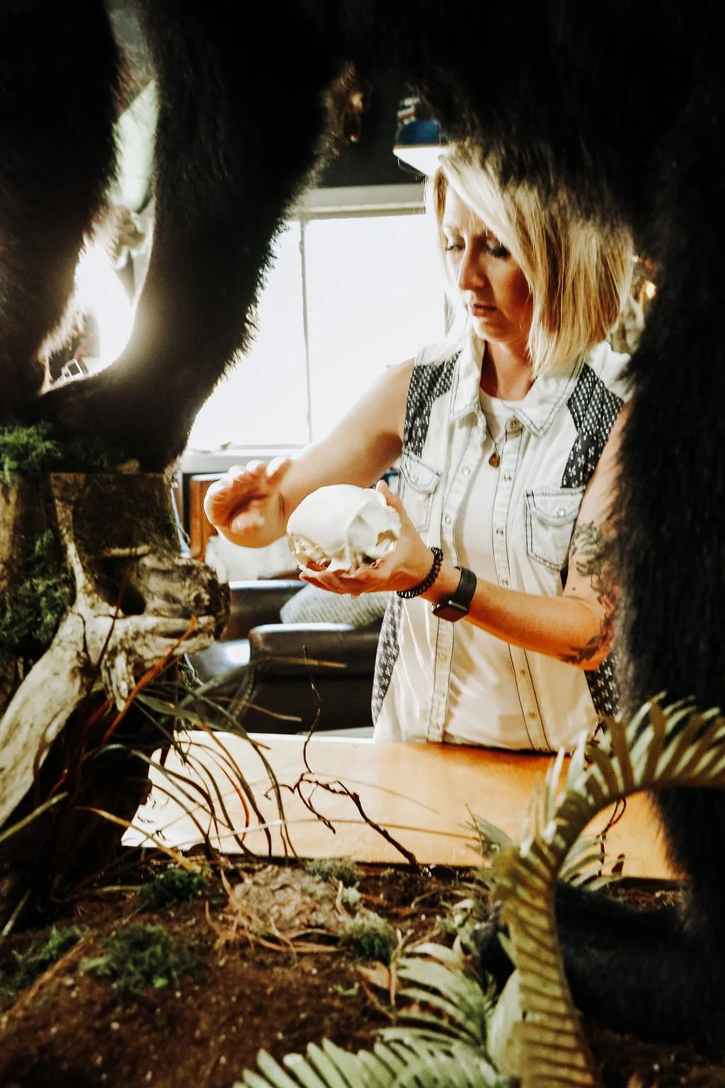 Euro added to Bear habitat 