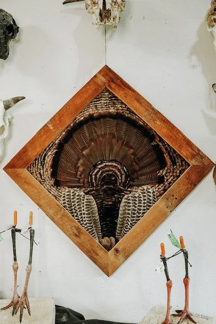 Full Fan Feather Art
