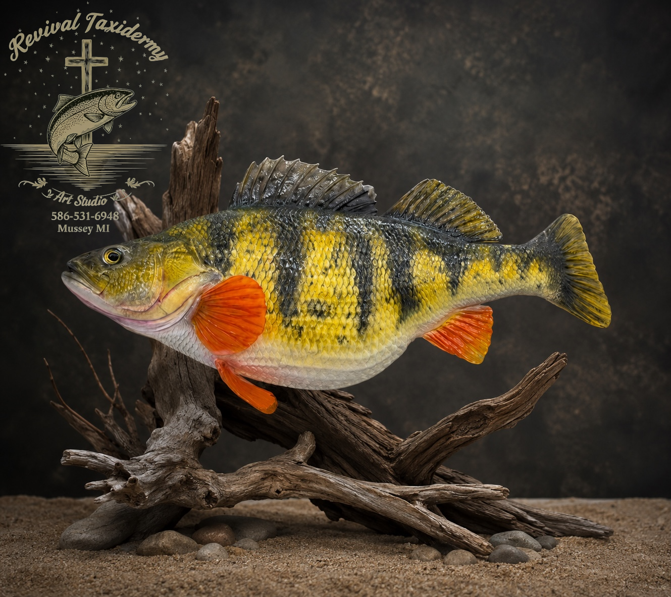 Custom Replica Fish Mounts
