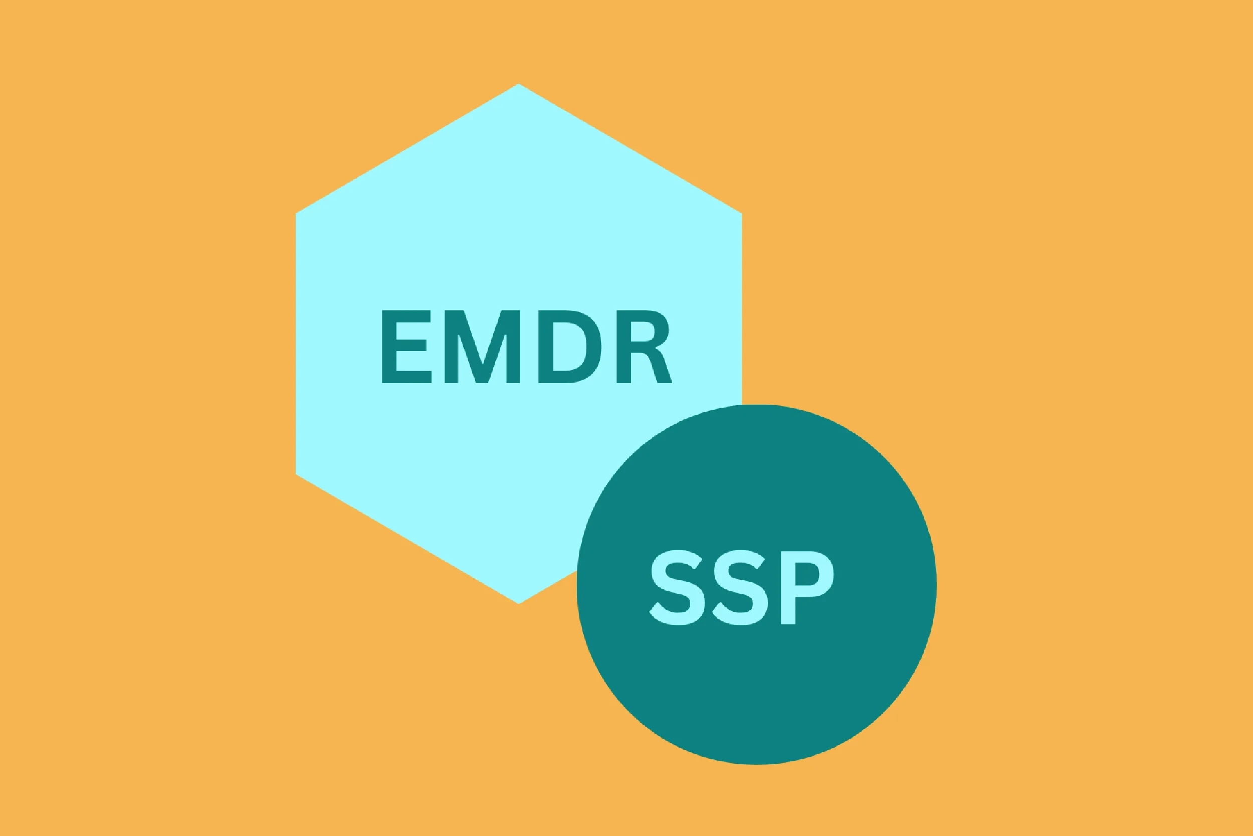 Monthly Lunch &amp; Learn: EMDR Meets SSP