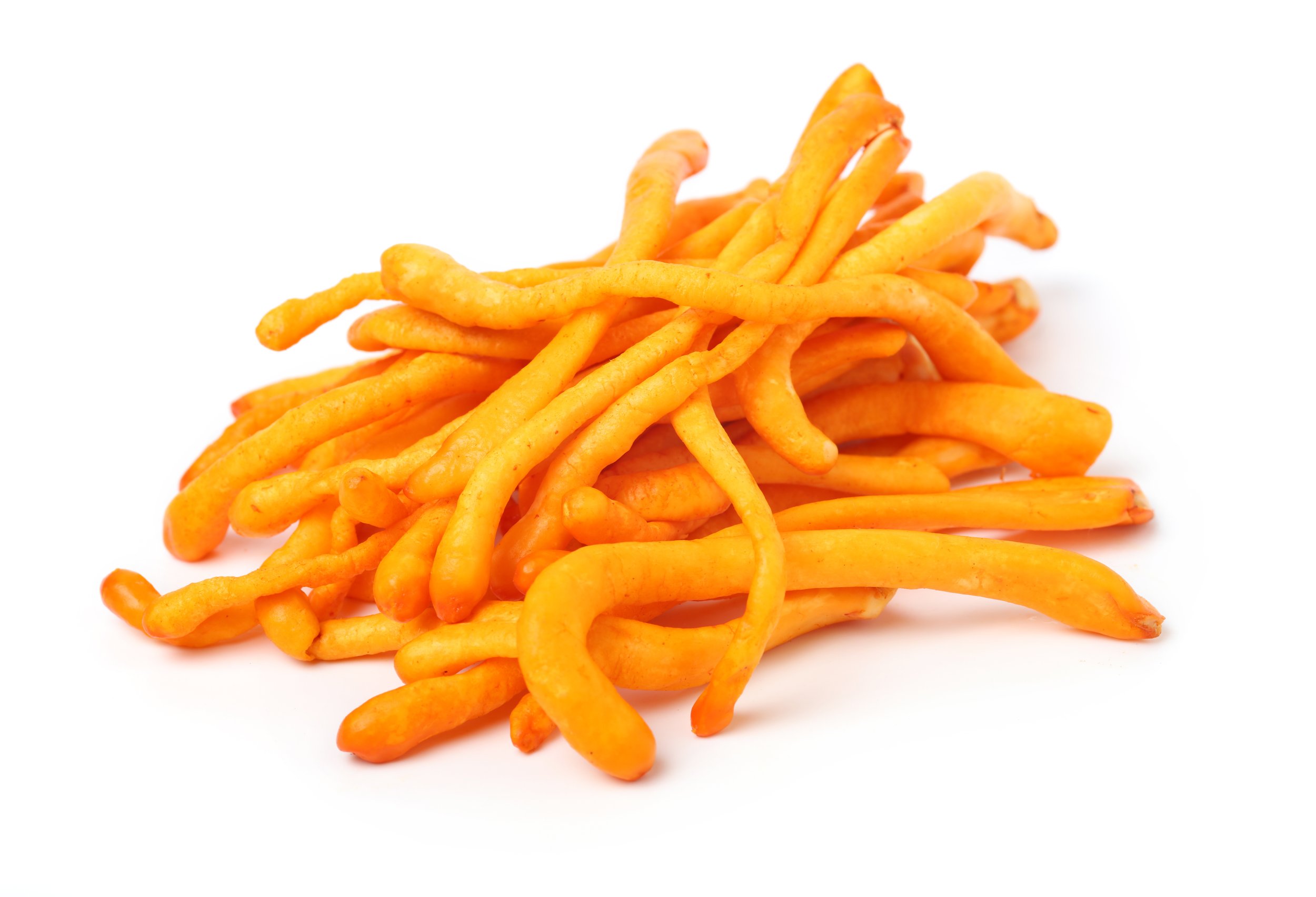 Recover from Burnout with Reishi and Cordyceps Mushrooms