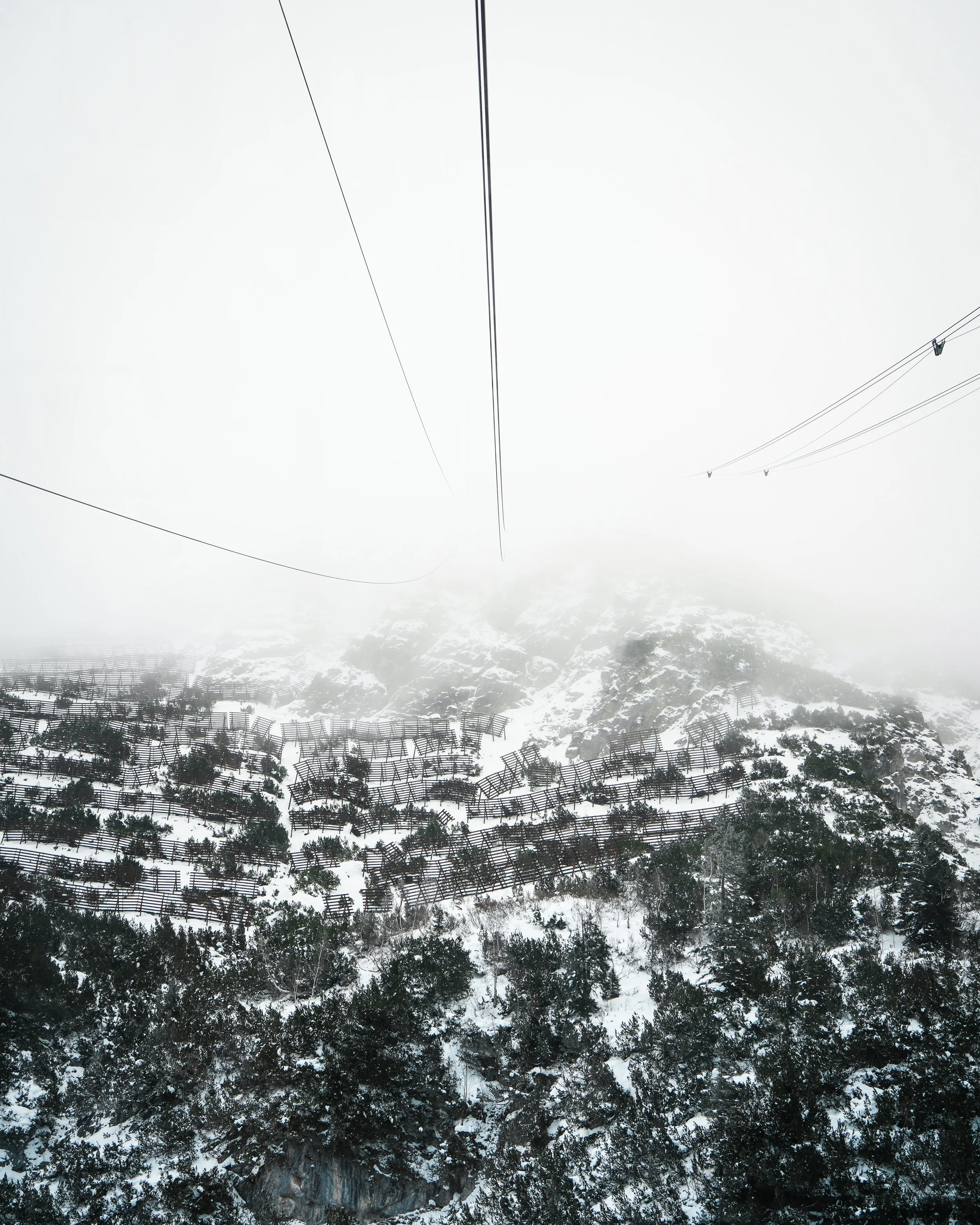 Berglandschaft mit verschneiten Bäumen und Felsen, Blick nach oben auf eine Kabelbahn im Nebel.
