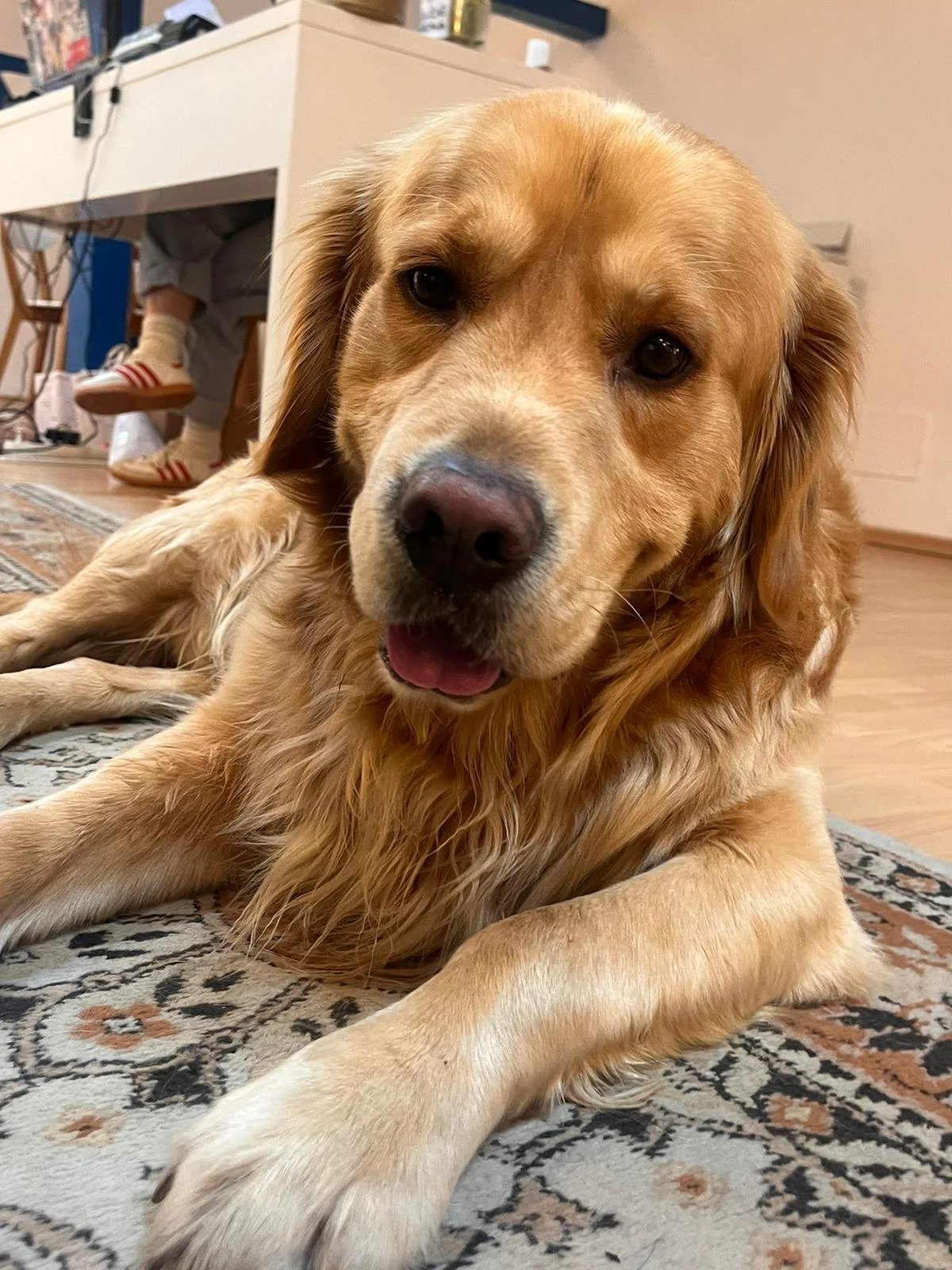 WhatsApp Image 2024-09-18 at 16.25.38 (1).jpeg