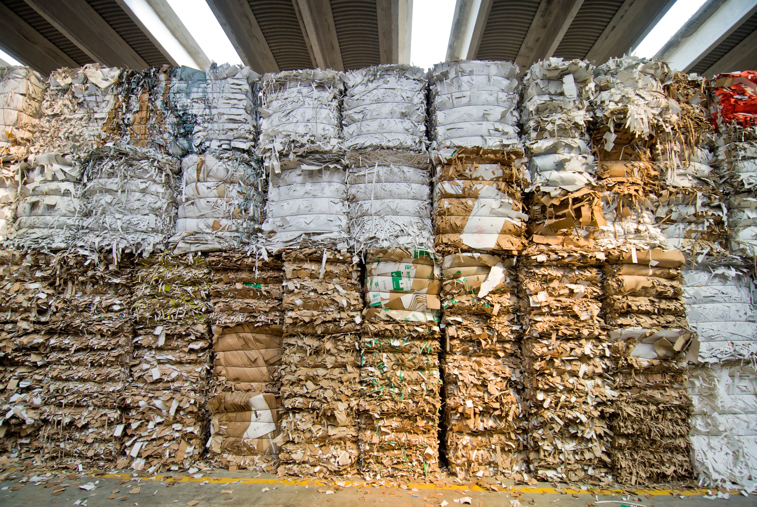 Paper Recycling 101