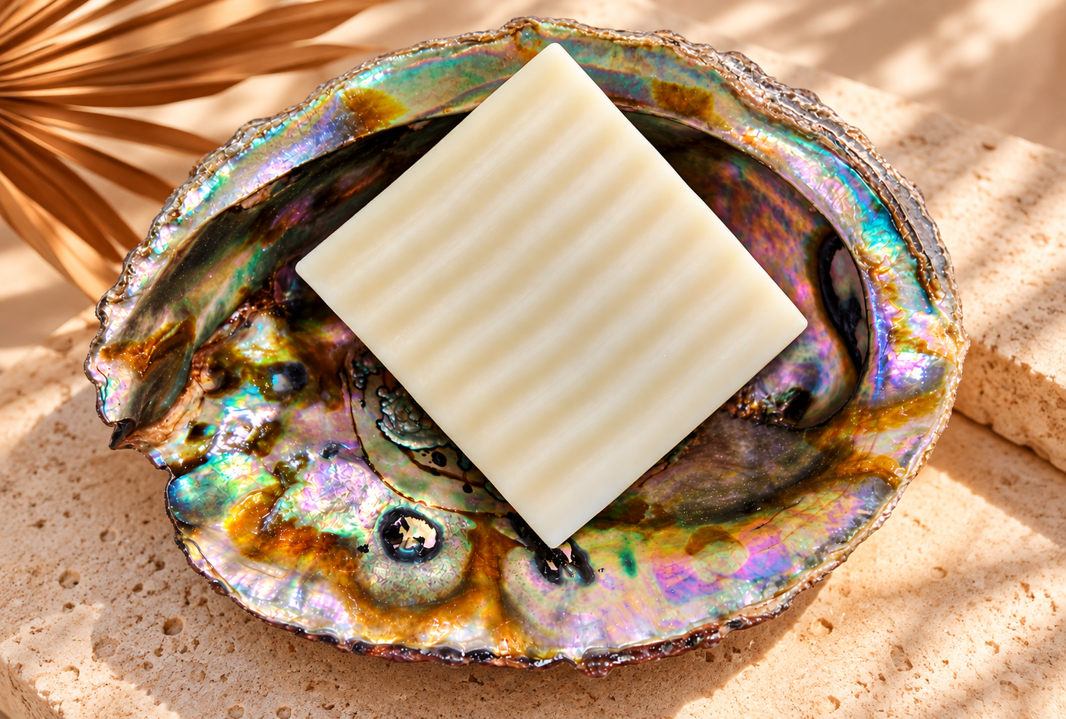 C16E7347-46B9-4A43-BB5B-9F9EF58AE8B6.PNG
