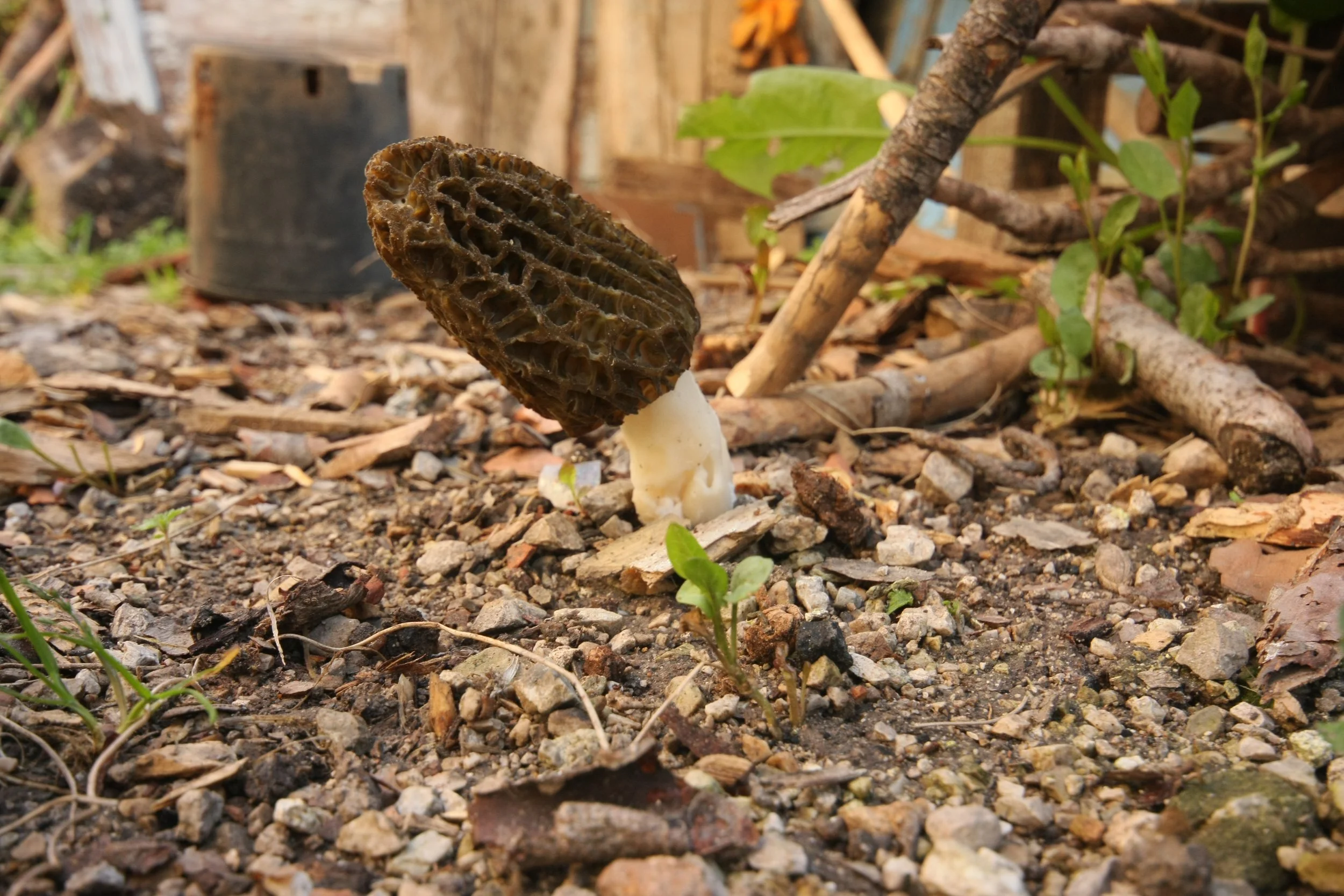 The 2026 season begins!